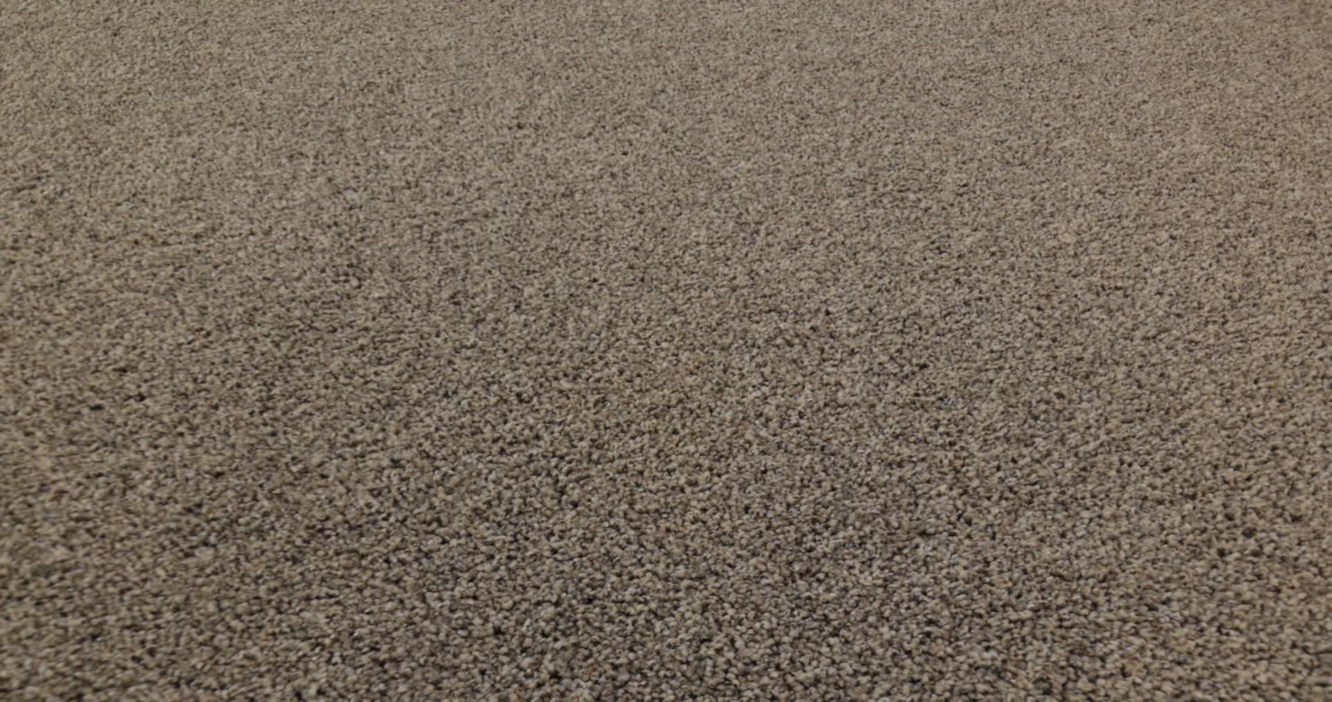 WONDERLAND II SLATE 360PROD