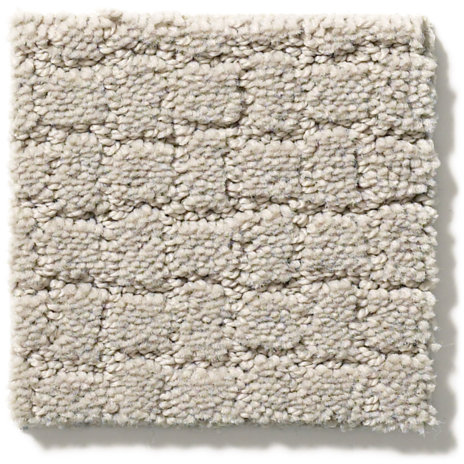 PAWSTRUCK SILVER FOX SWATCH