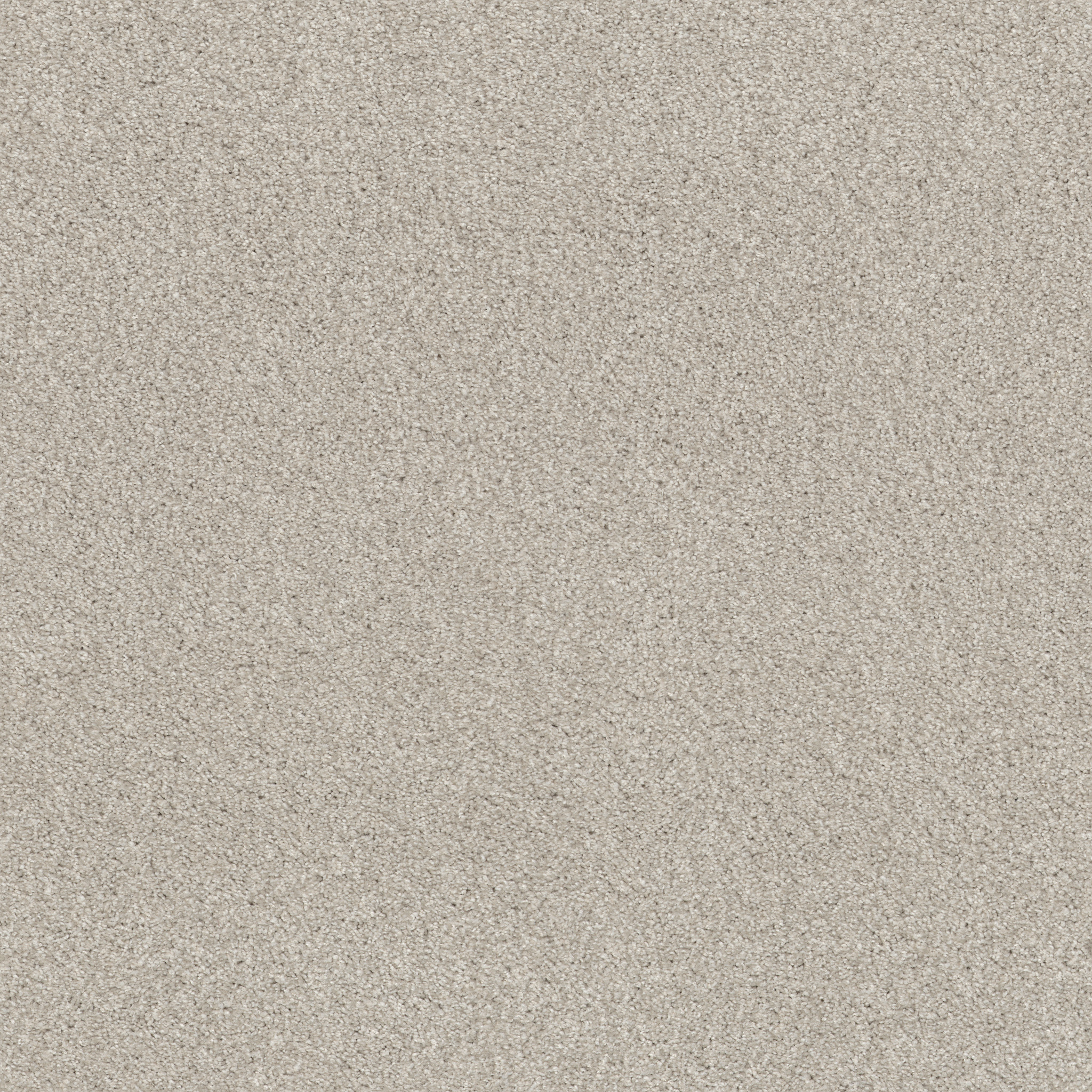 COZY HARBOR II THOUGHTFUL MAIN