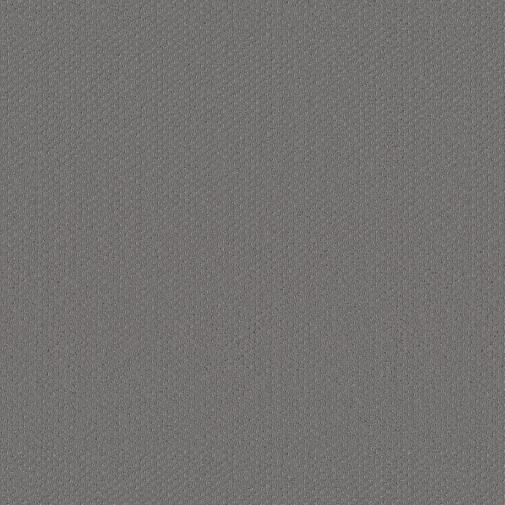 AUSTIN PARK MAGNETIC MAIN