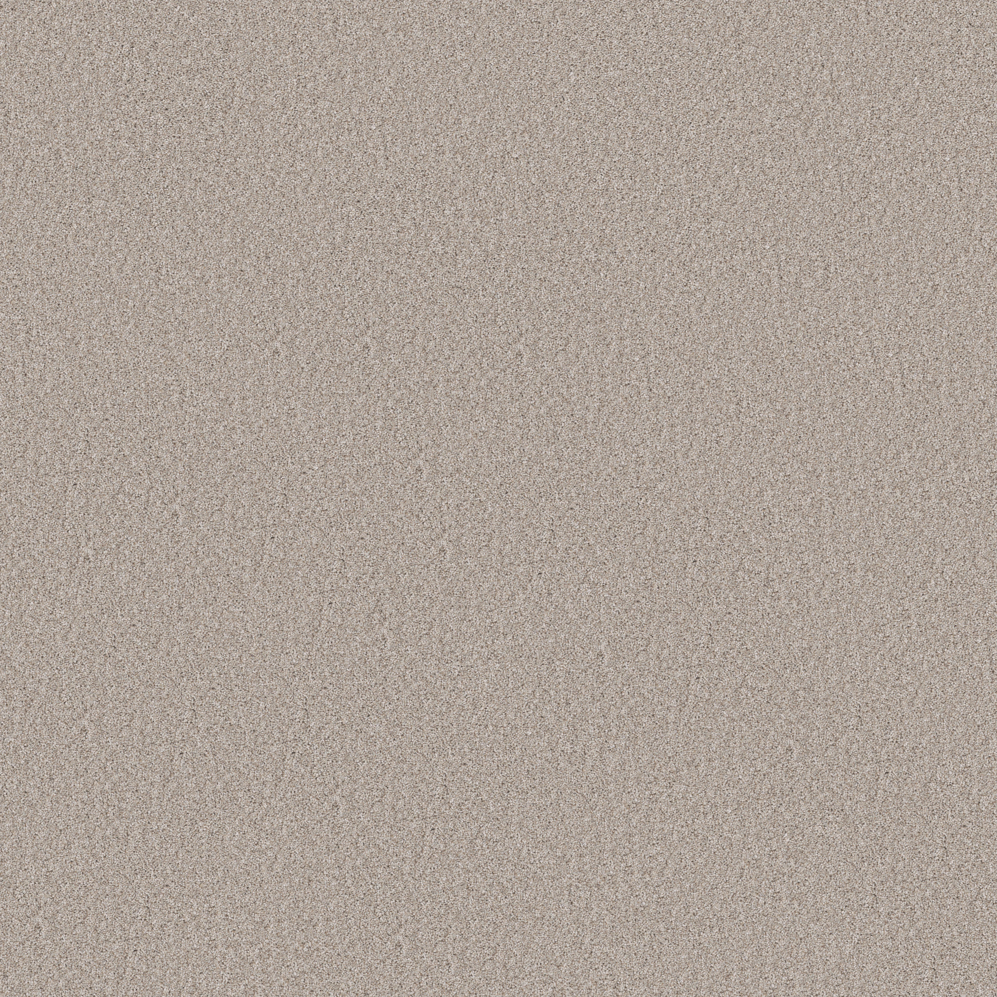 WONDERLAND II SILENCE MAIN