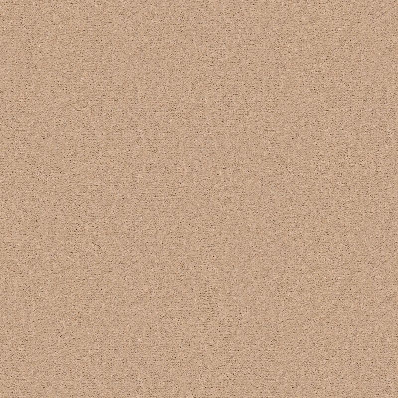 Emphatic 30 Broadloom Carpet in Artisan Brown, 100% Nylon, 12ft width, Cut Pile Solid construction