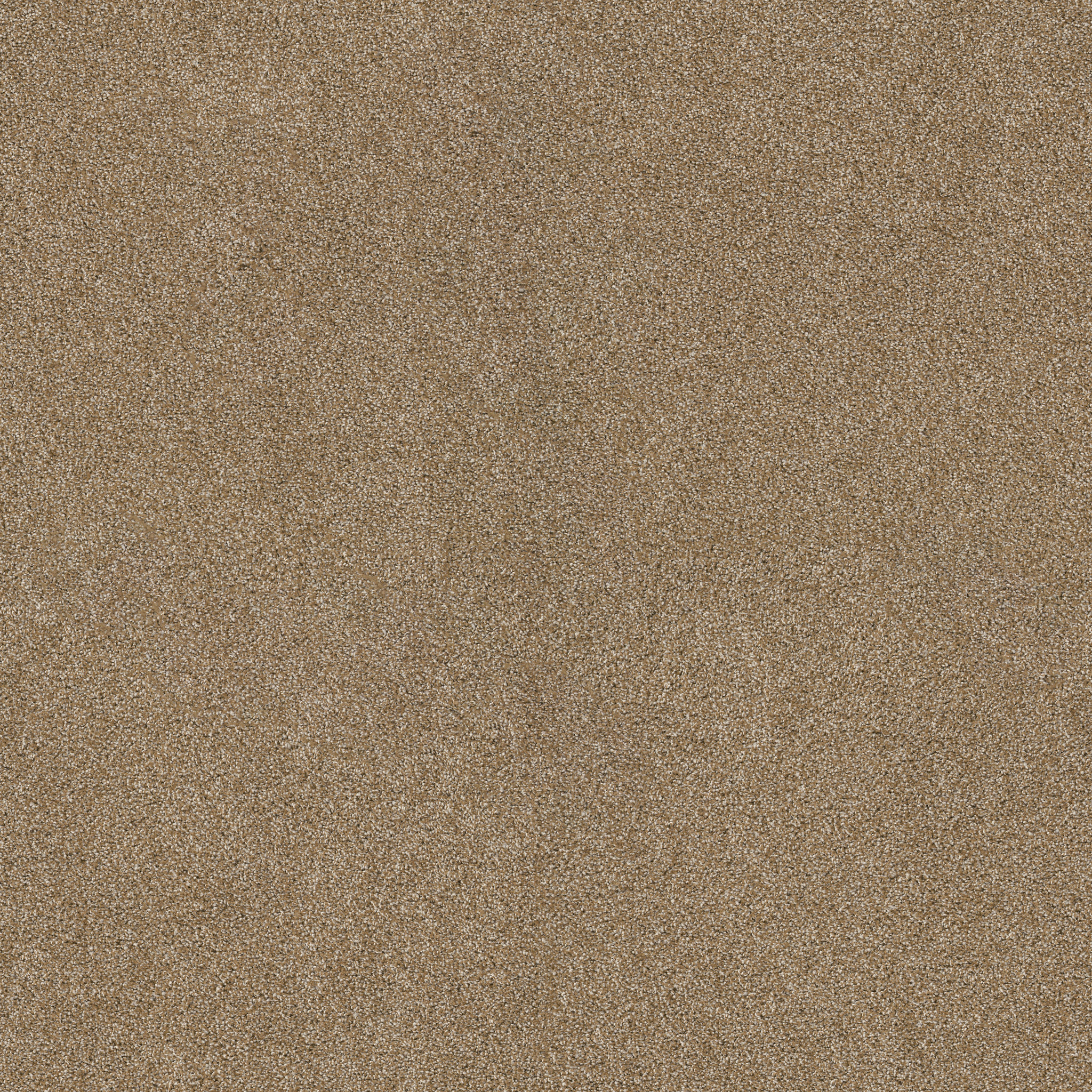 ACROSS THE BAY CARMELO MAIN