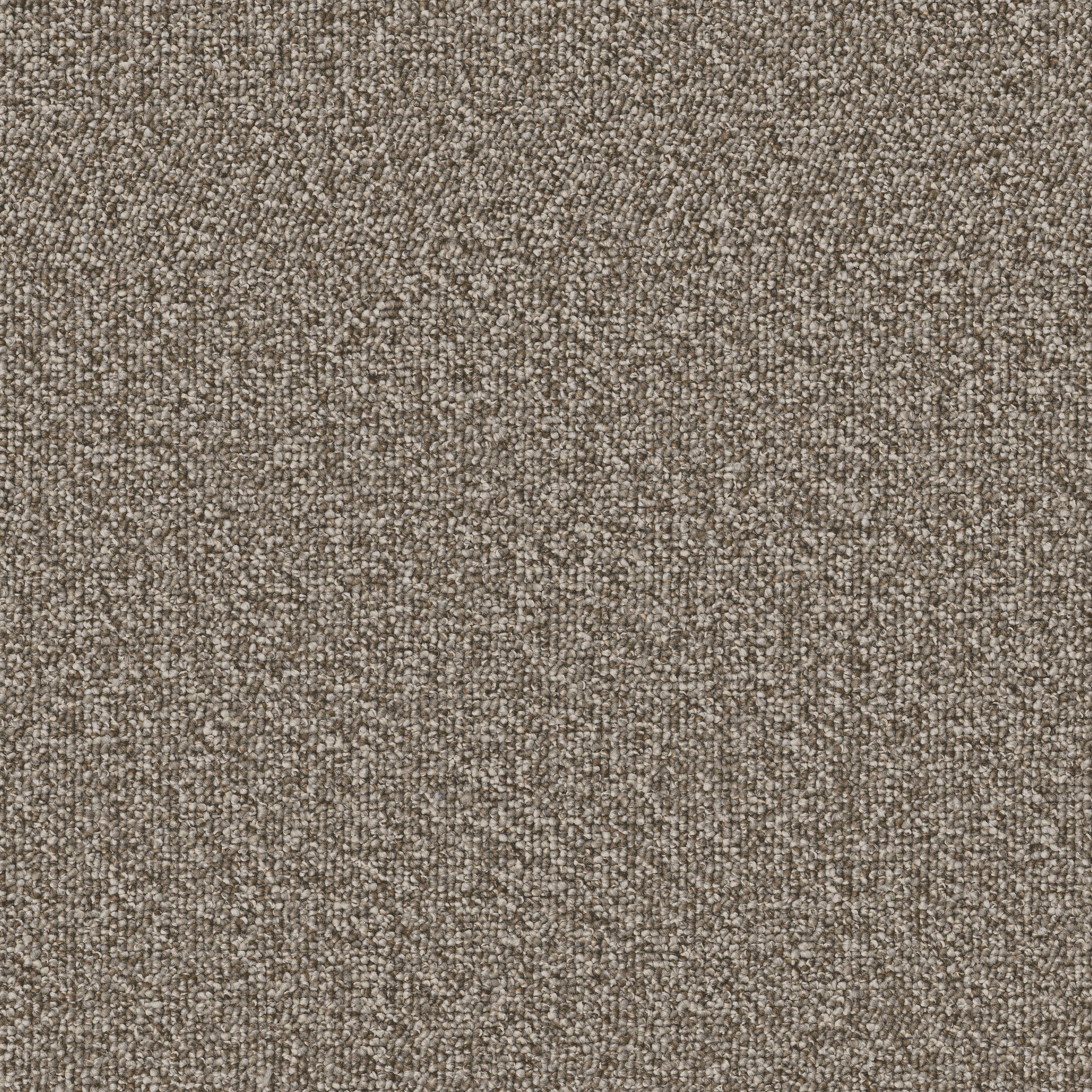 AVENUE-54989-CLEVELAND-00710-main-image