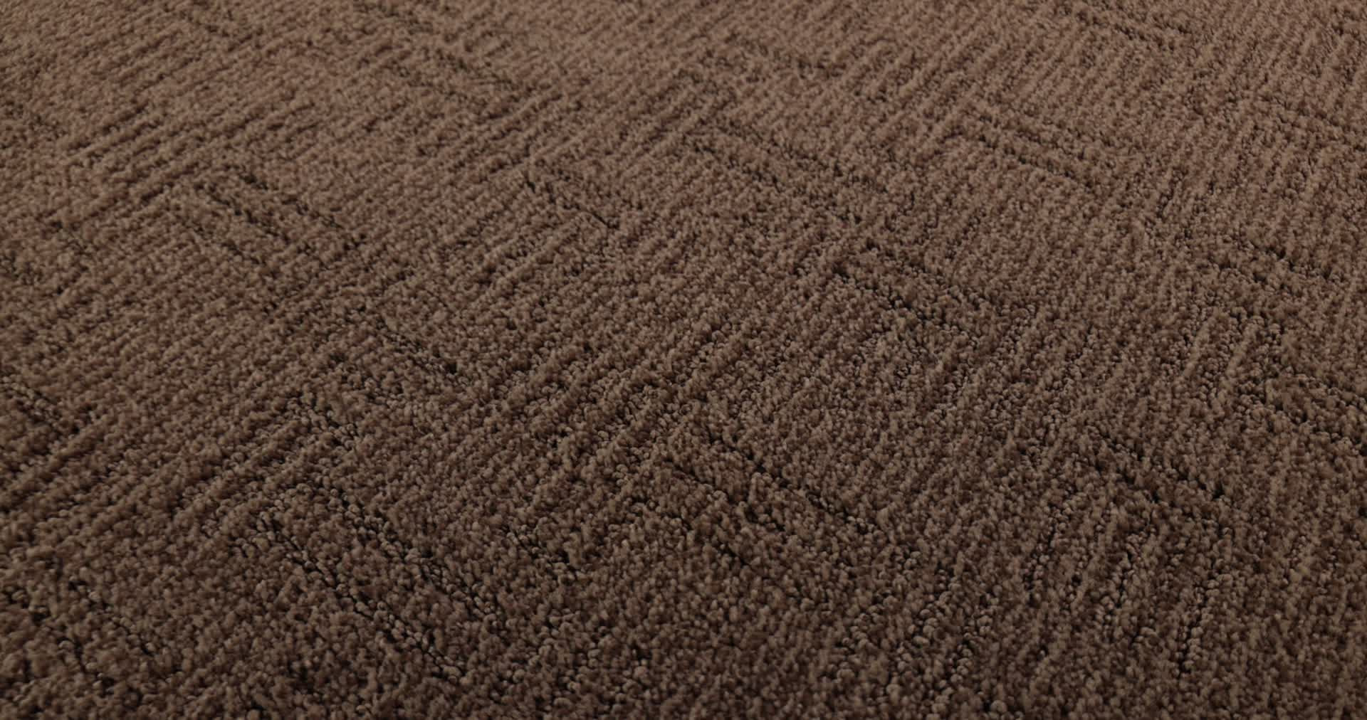 DIEGO FALLEN TIMBER 360PROD