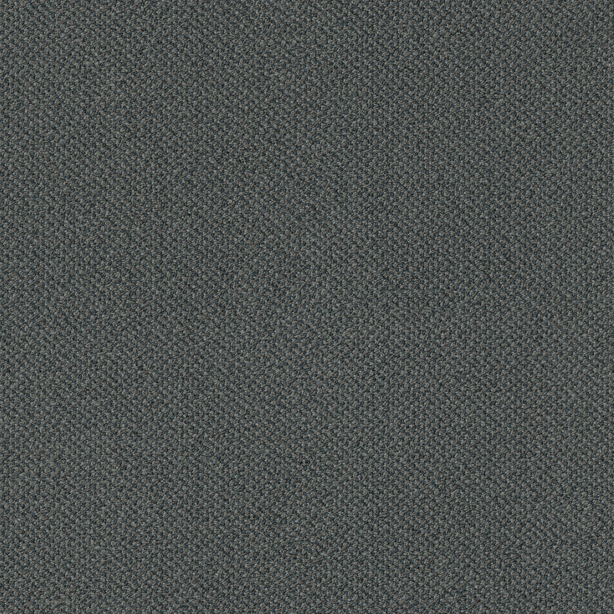 SMALL-WONDER-54984-SPELLBIND-84317-main-image