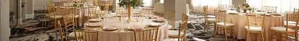 Hospitality venue with commercial carpet flooring and elegant decor Elegant hospitality venue with round tables and gold chairs on patterned commercial carpet flooring