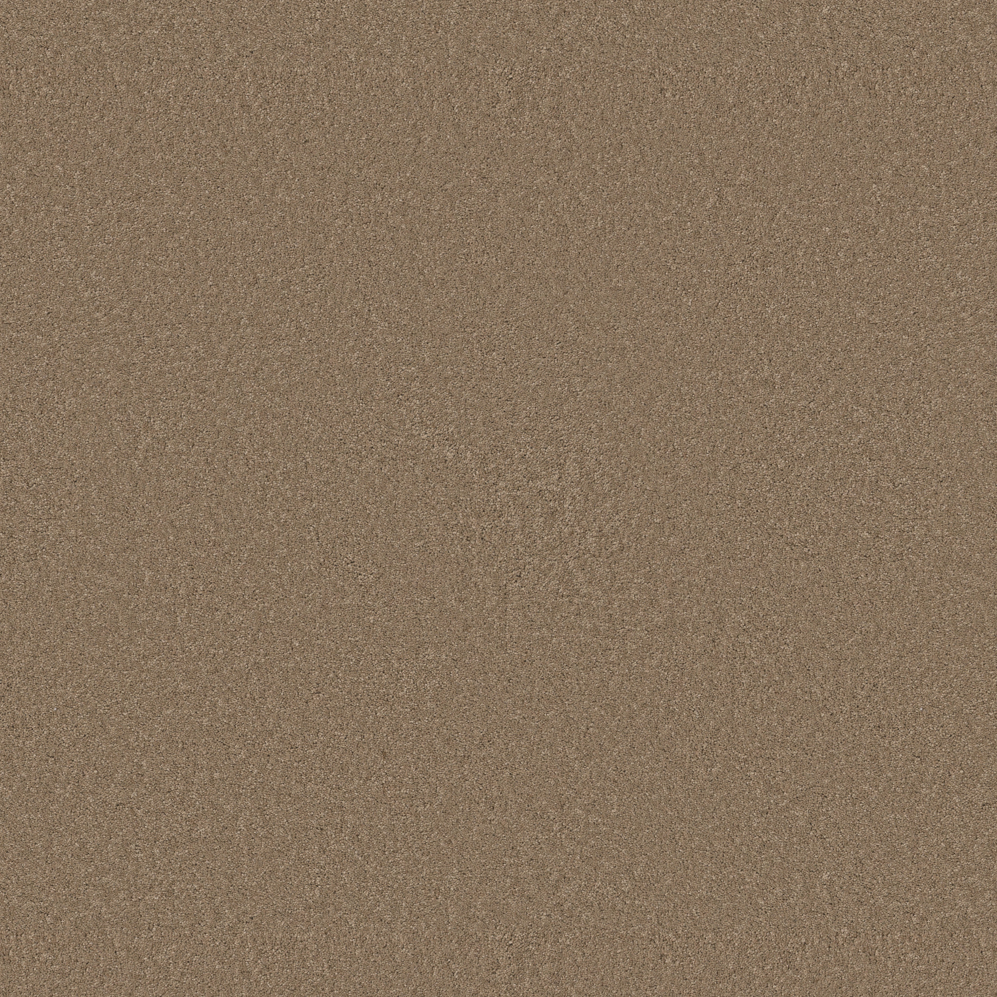 ENDURING CHARM LATTE MAIN