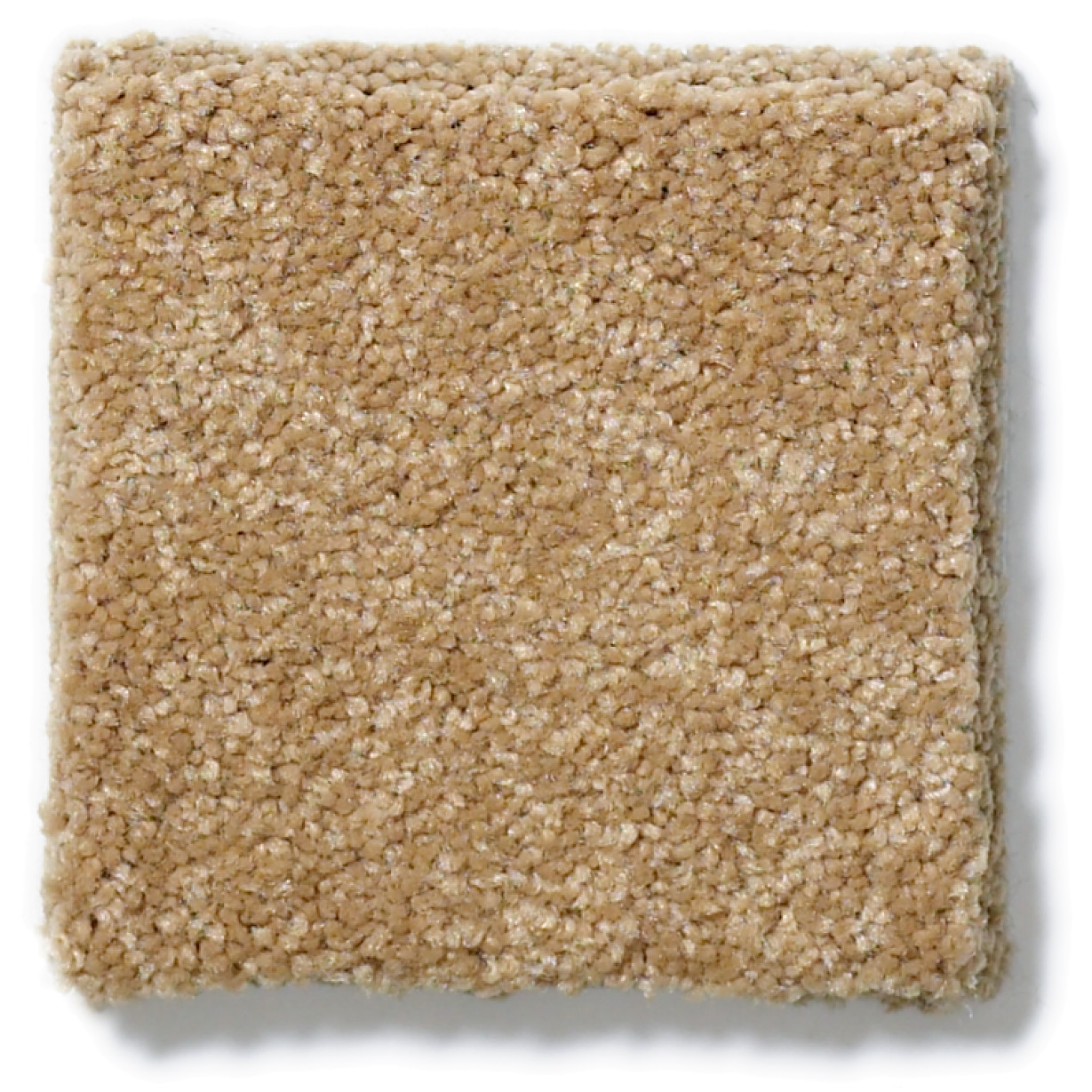 SHINGLE CREEK II 12' CORK SWATCH