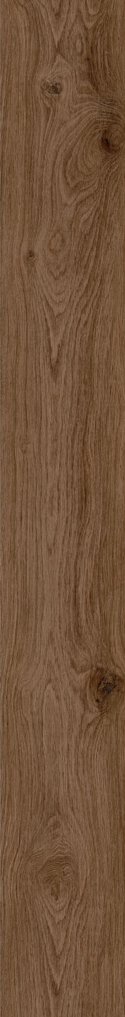 CINNAMON BARK OAK 1TO1