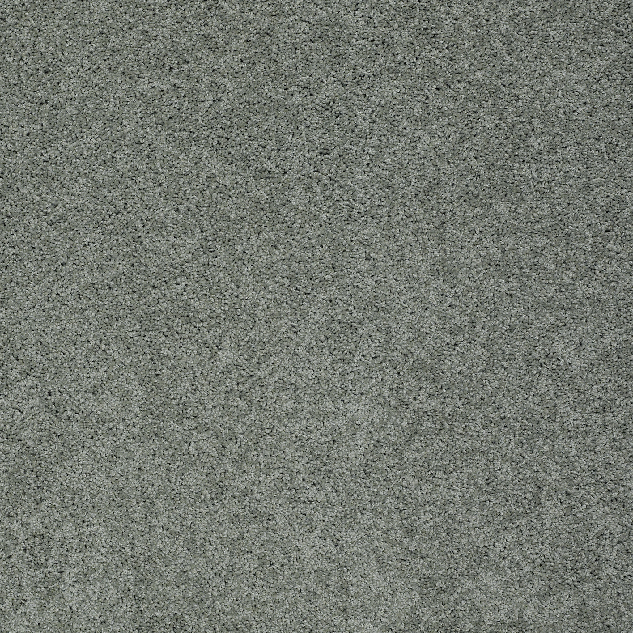 AG TIMELESS EARTHY EMERALD MAIN