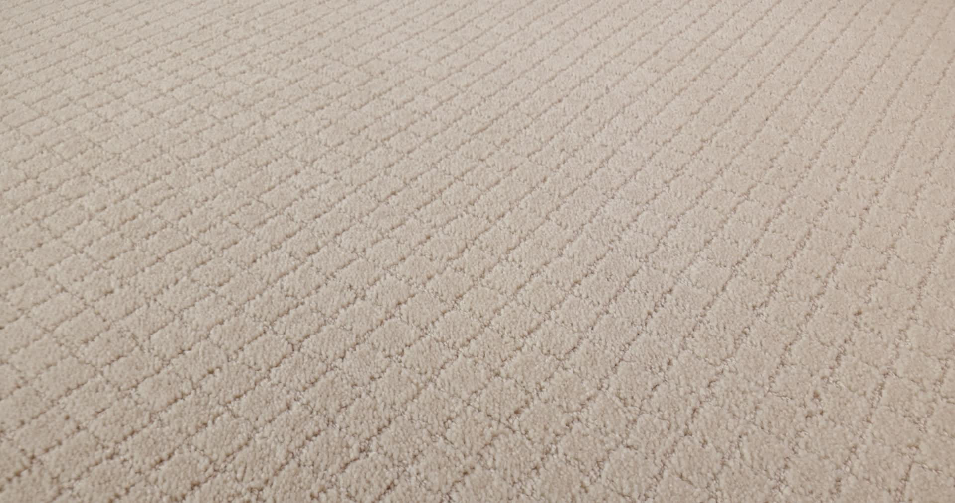 PAWNACHE CAPRI COAST 360PROD