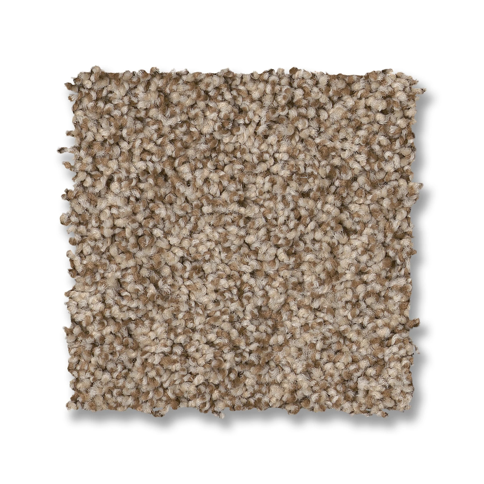 VIA NOVA NUTSHELL SWATCH