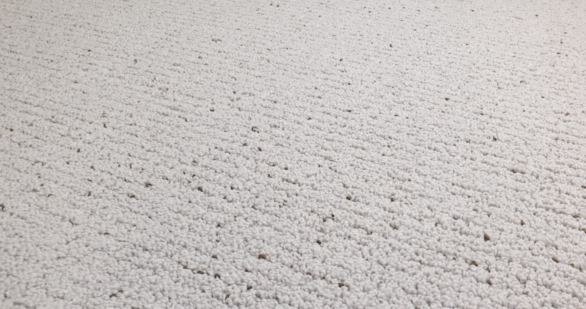 Intricate Trace GRAVITY 360PROD