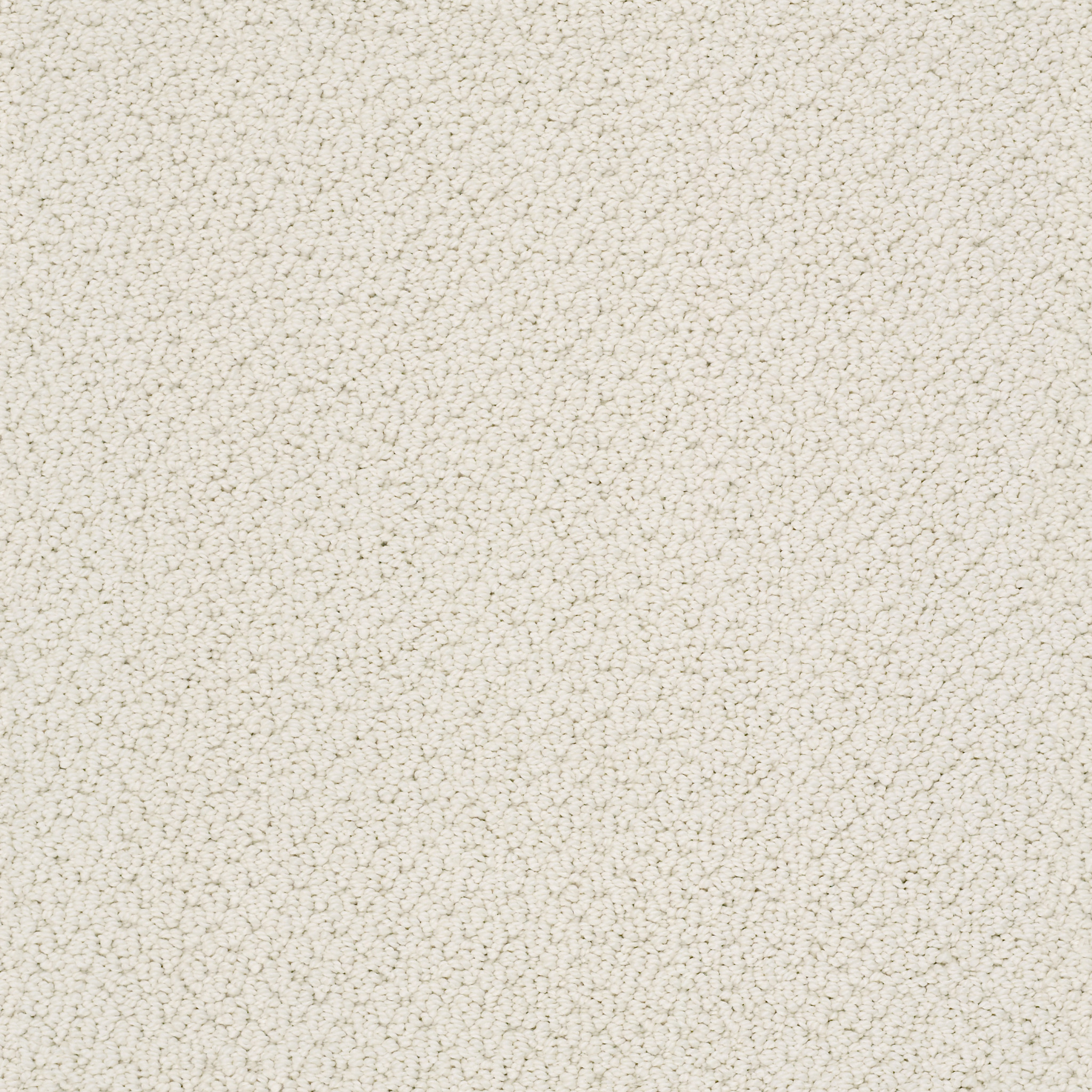 SMART THINKING PARCHMENT MAIN