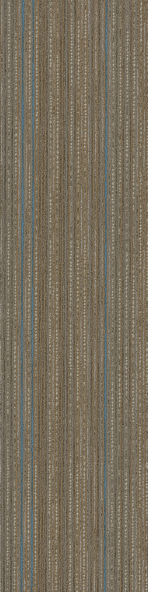 STELLAR-54902-IMAGINARY-00200-main-image