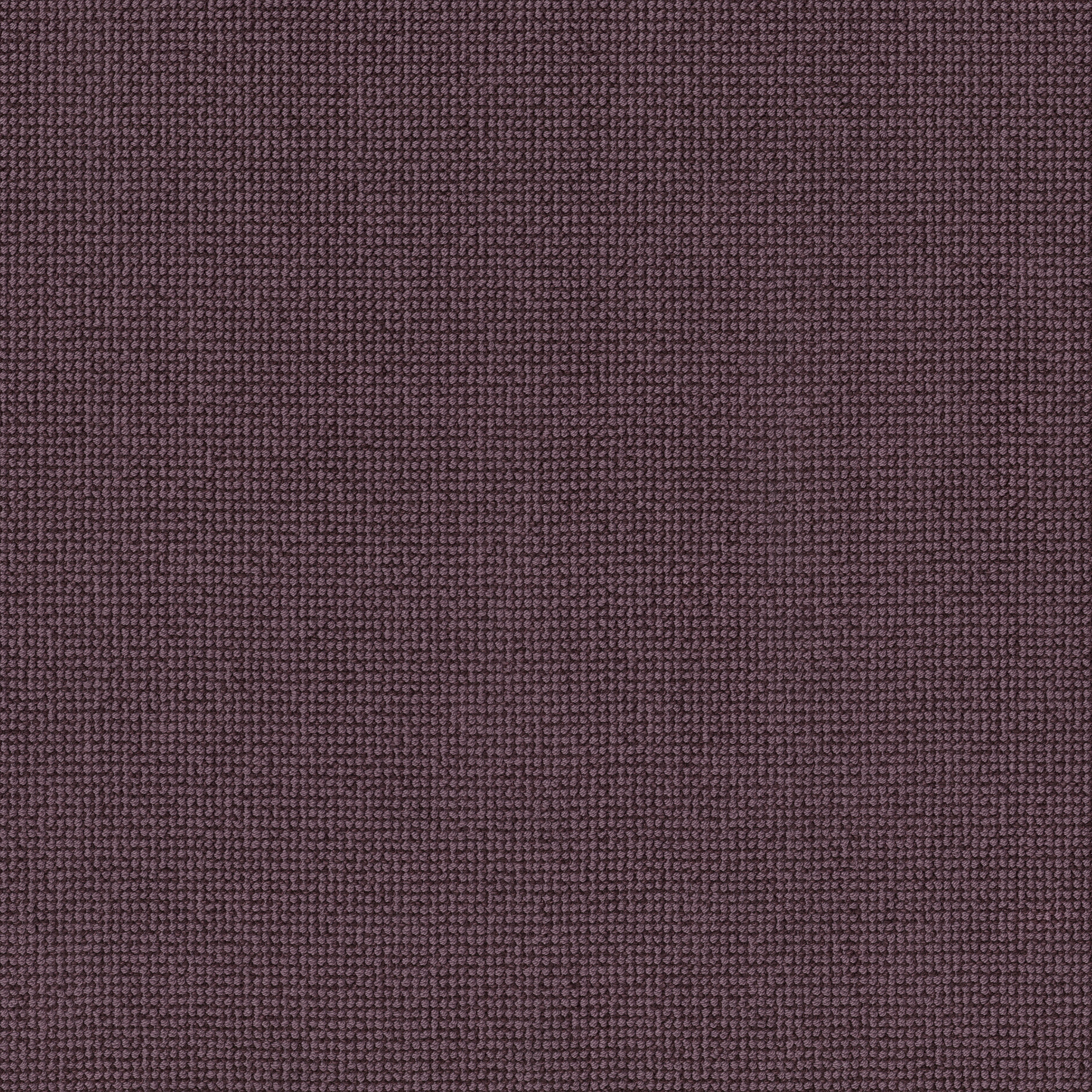 ALLURING PLUMWOOD MAIN