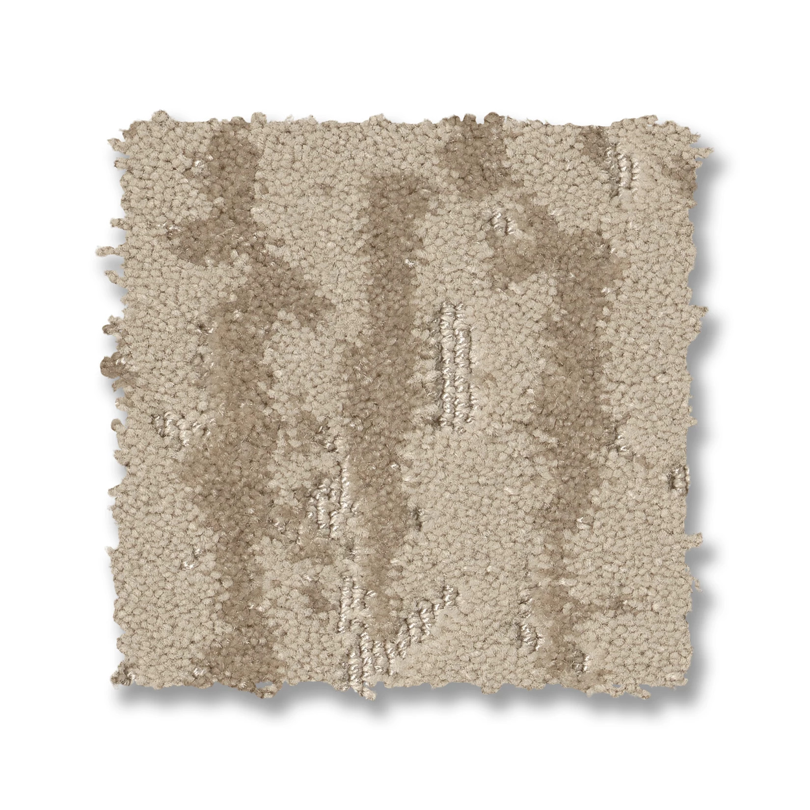 MUNI carpets カーペット MUNI CARPETS 2022 特別展示 | カッシーナ・イクスシー