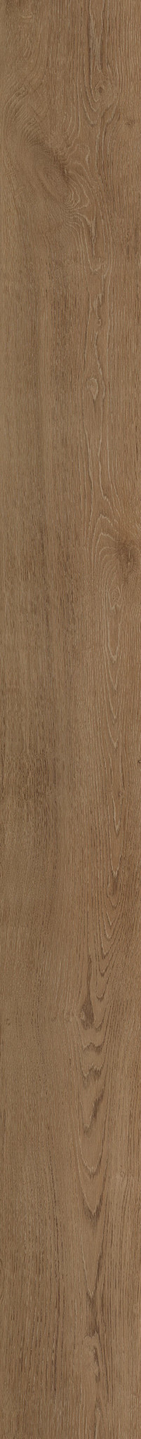 BALTIMORE OAK 66 1TO1