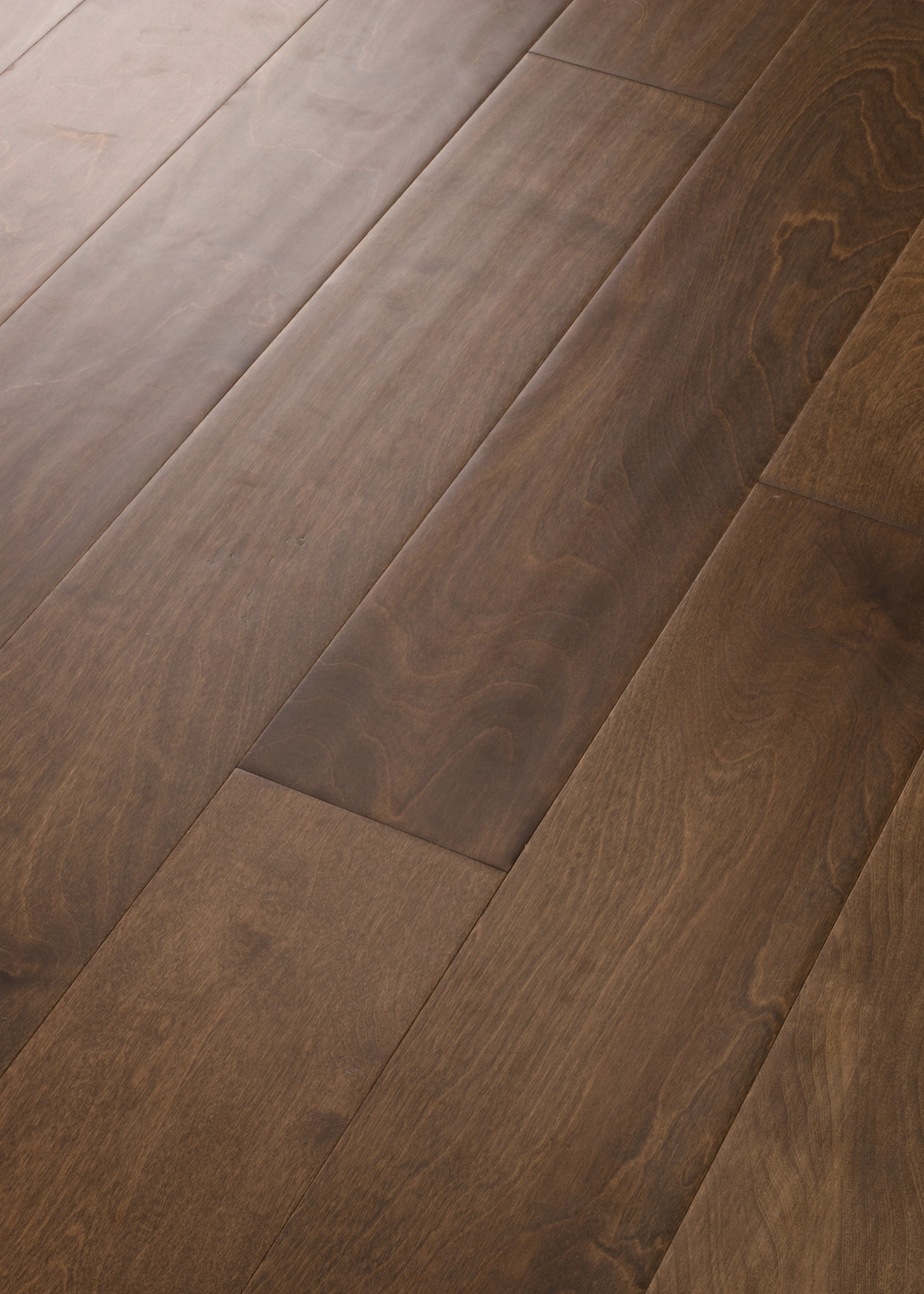 BISCAYNE BAY REEF ANGLED