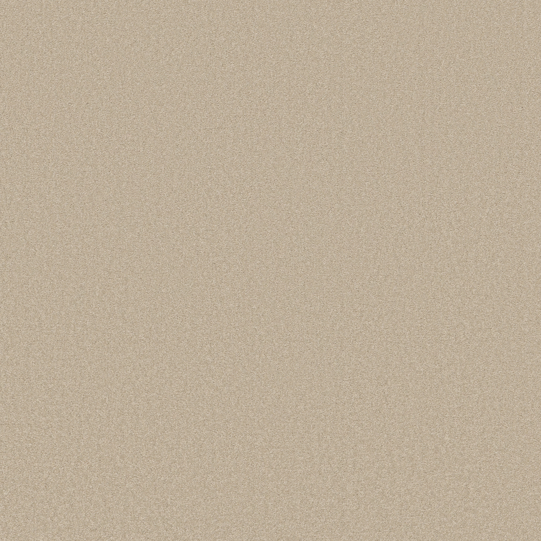 ULTIMATE EXPRESSION 12' PUDDING MAIN