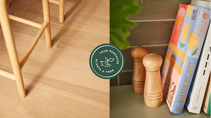 Plant a tree image image with hardwood on the left and bookshelf on the right
