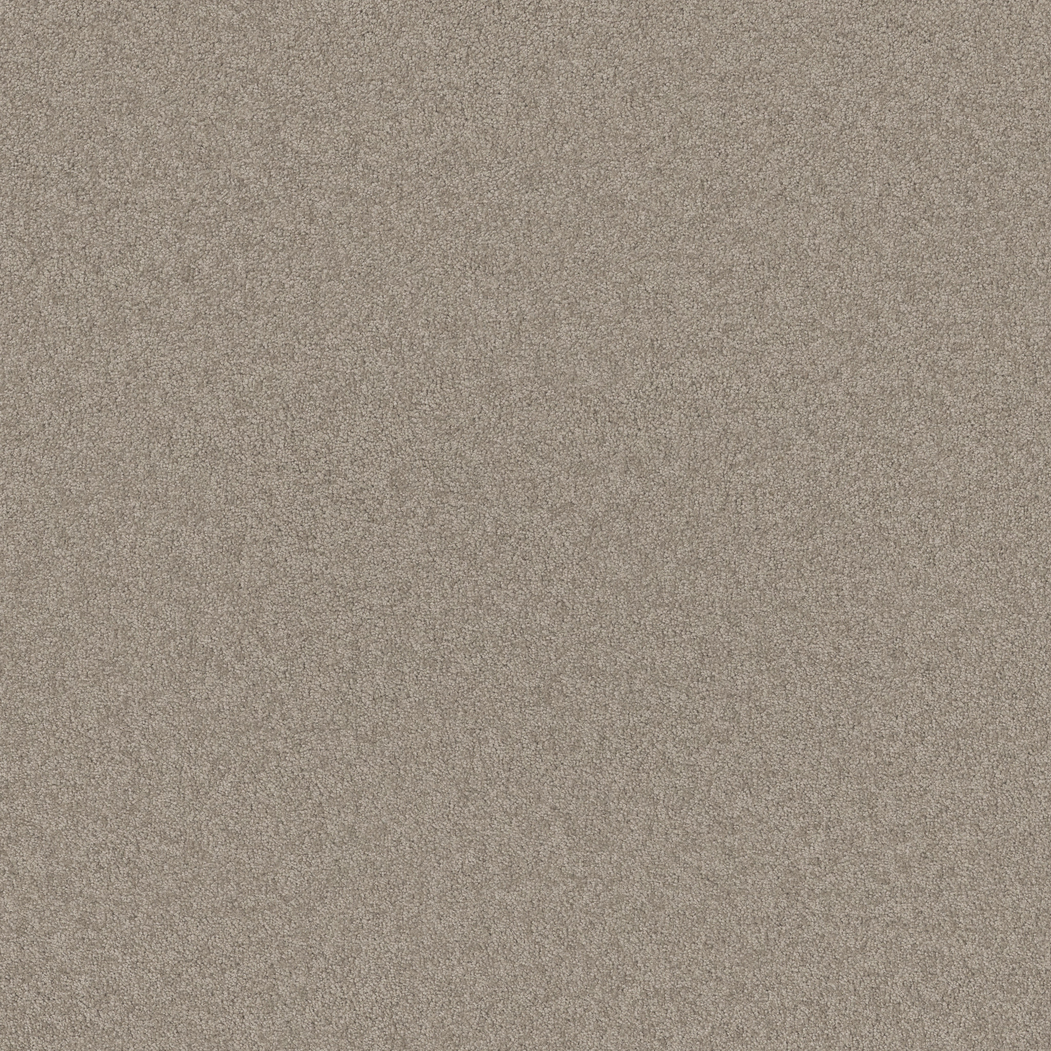 OPPORTUNITY KNOCKS MOCHA CREAM MAIN