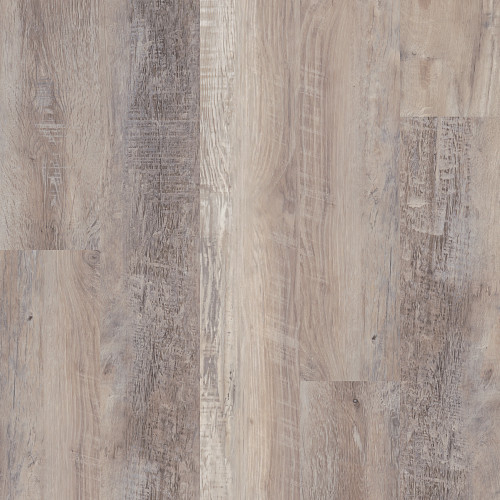 Caspian Oak