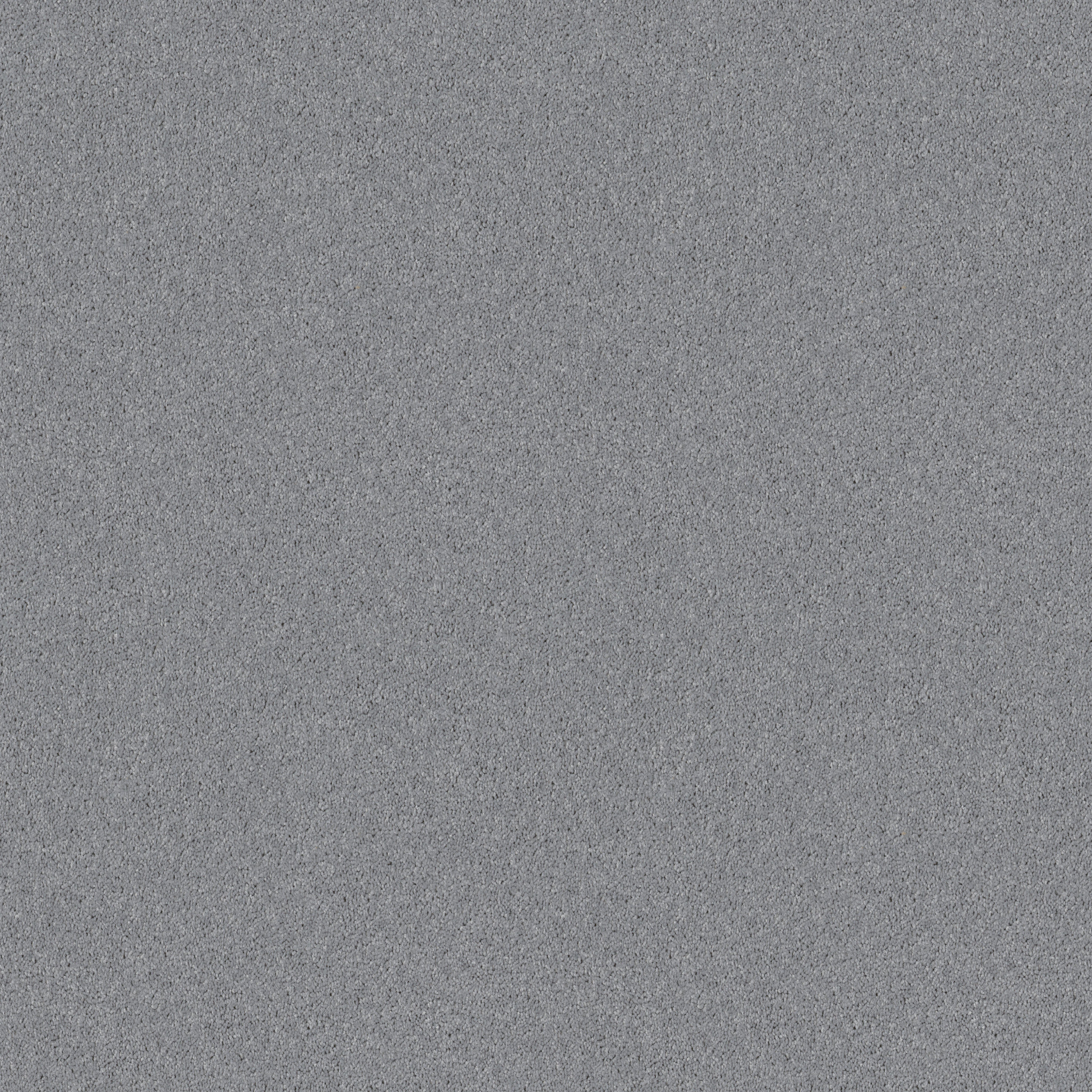 DYERSBURG II 12' SILVER BAY MAIN