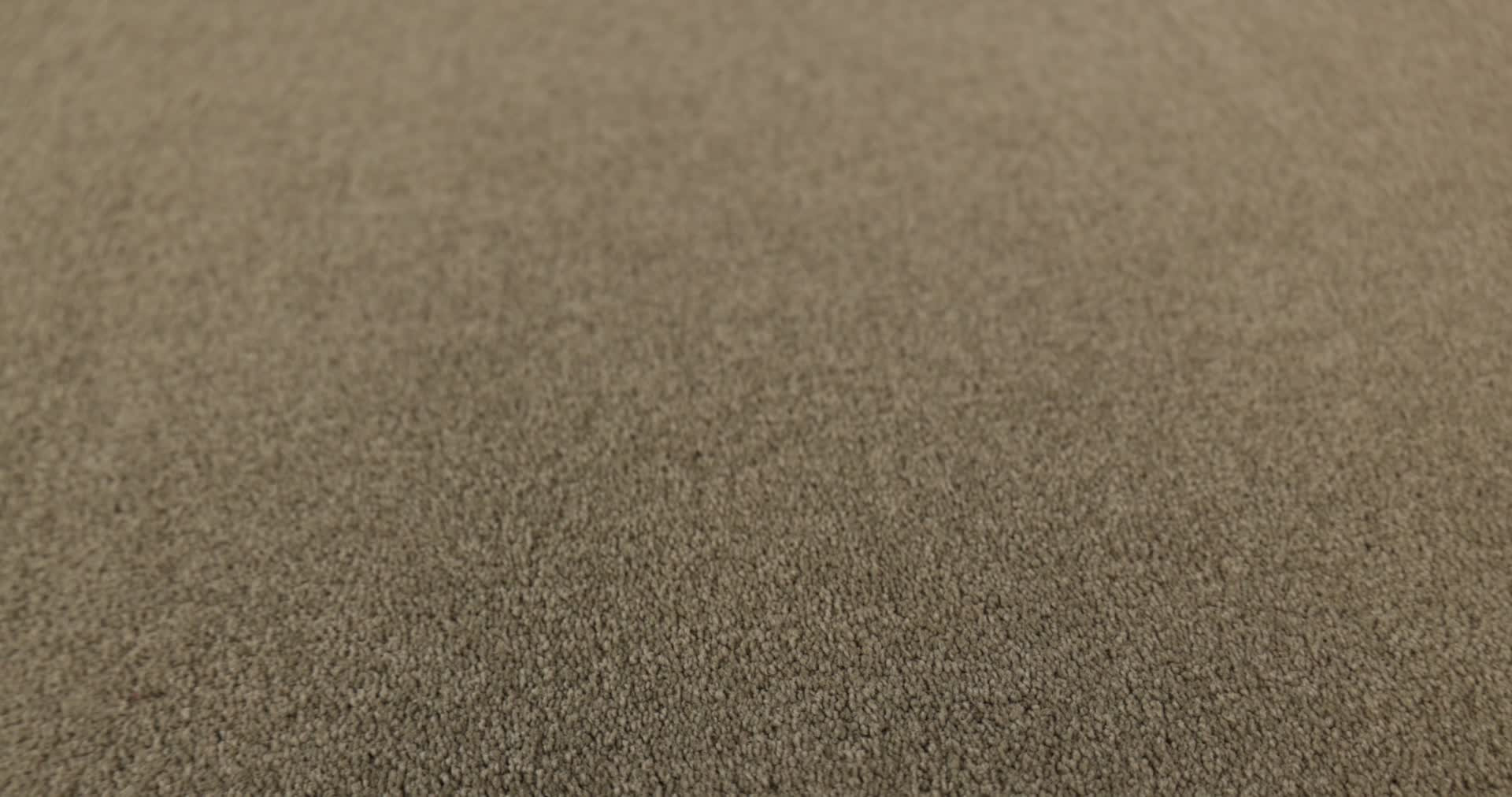 SHINGLE CREEK IV 15' CHINCHILLA 360PROD