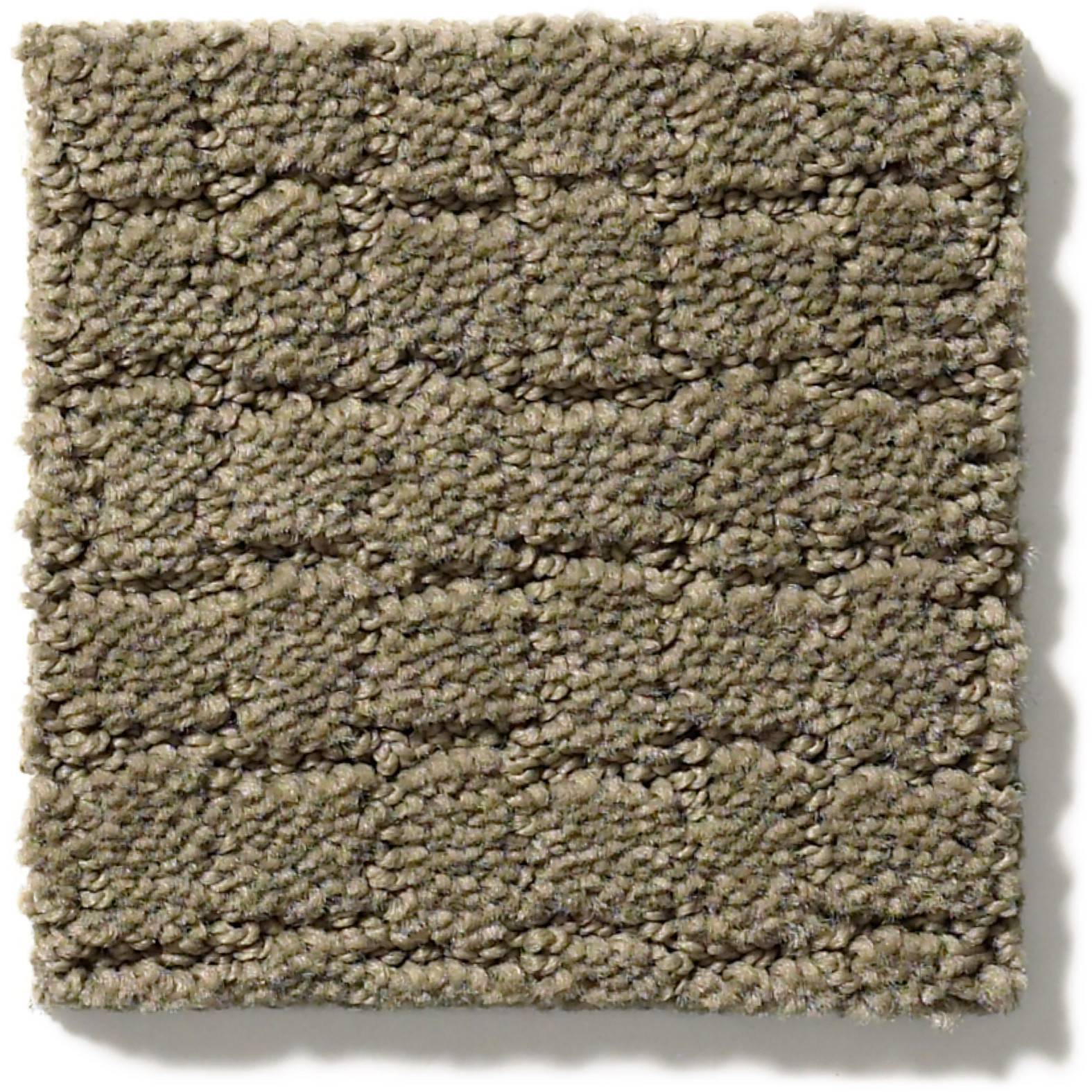 PAWSTRUCK DRY SAGE SWATCH