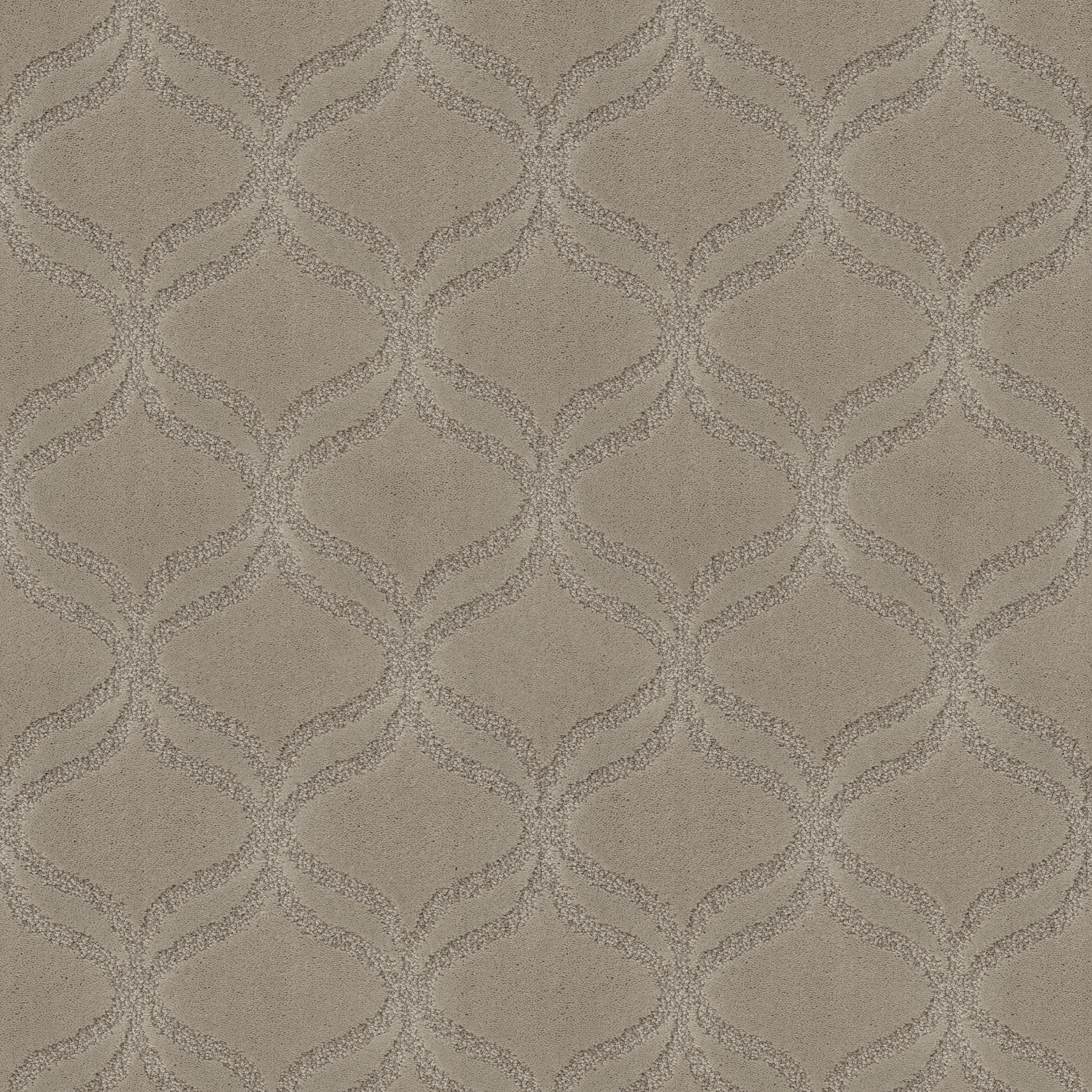 APPRECIATION PLAINVIEW MAIN