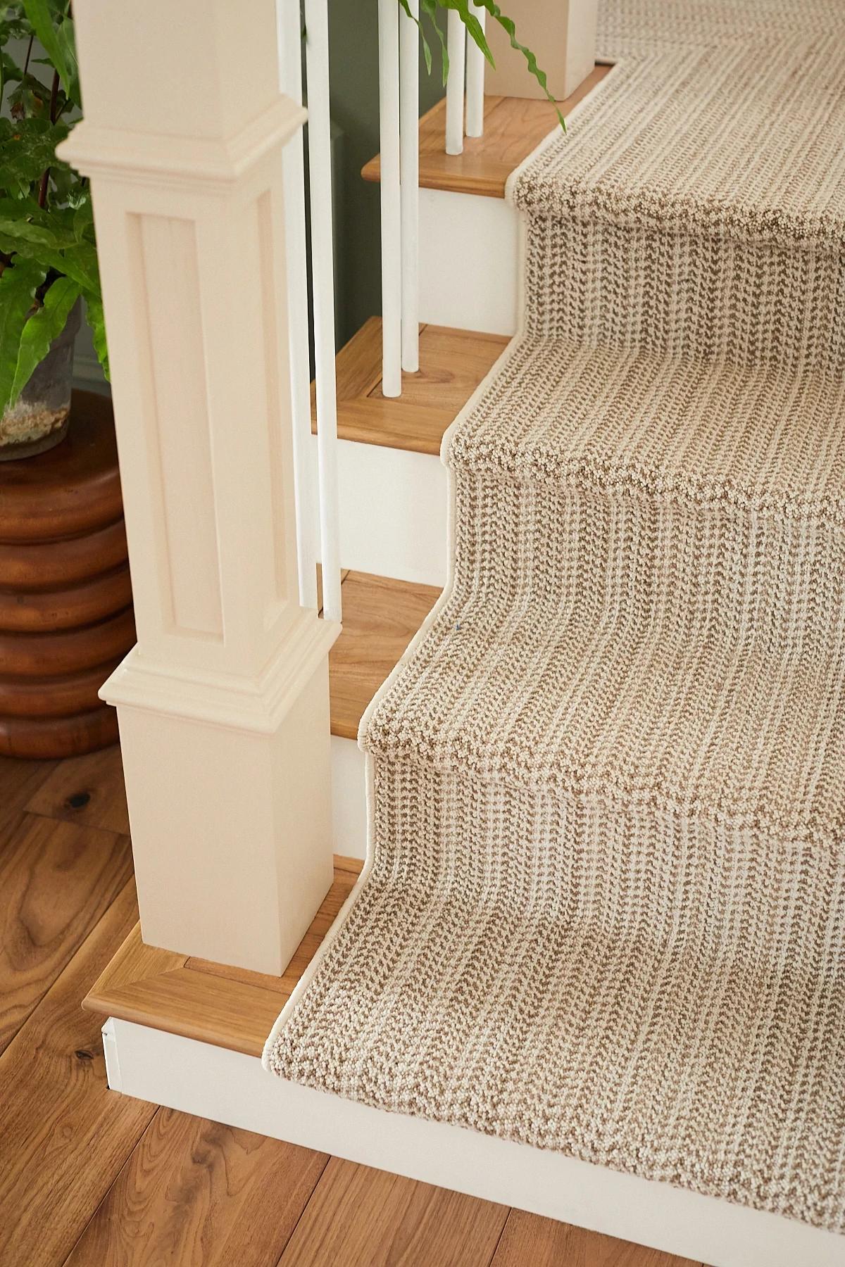 Beige and cream striped carpet on wooden staircase with green plant in background