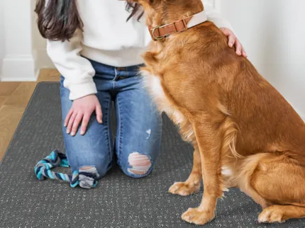 Durable patterned carpet for everyday comfort and pet-friendly homes Woman kneeling on patterned carpet with a golden retriever in a cozy home setting