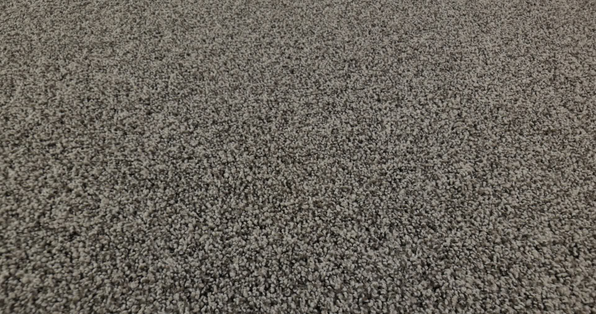 BELLA NOVA SABLE 360PROD