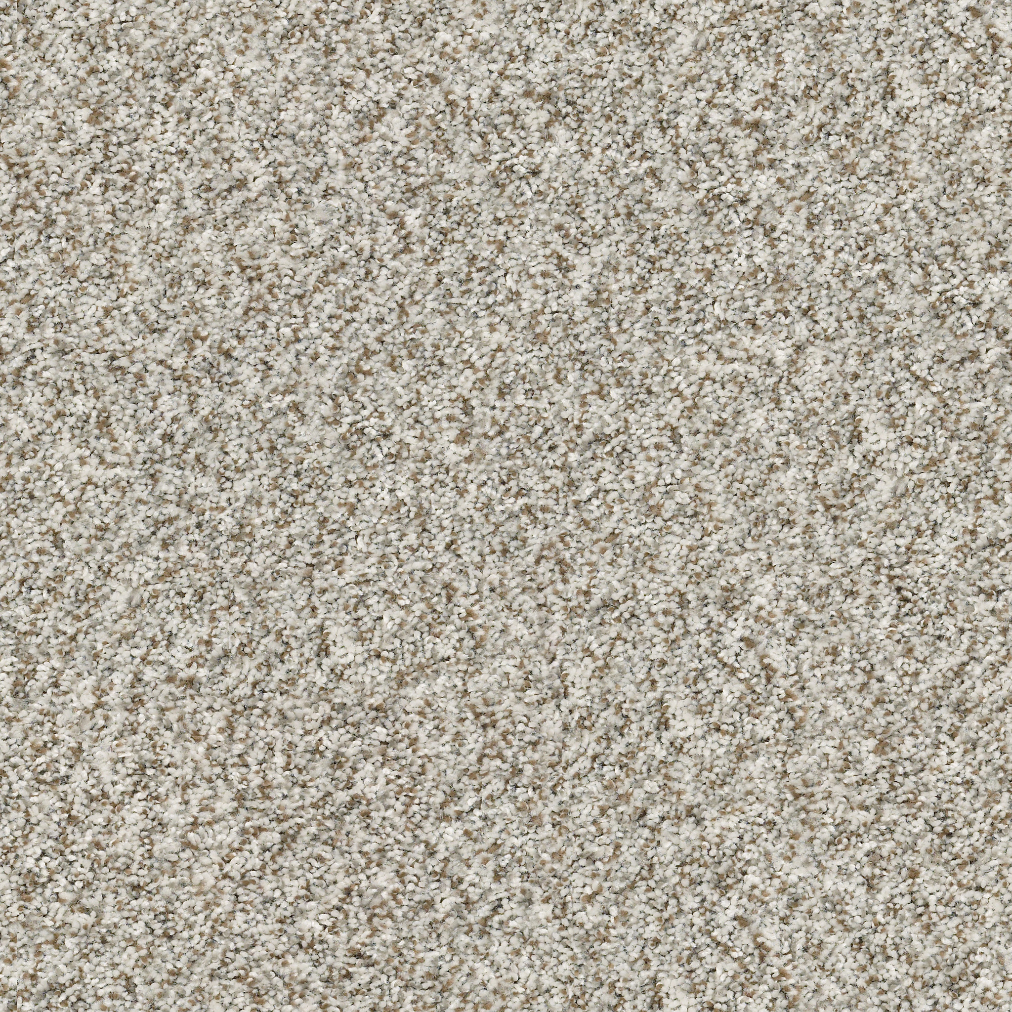 CABANA BAY (B) SEASHELL MAIN