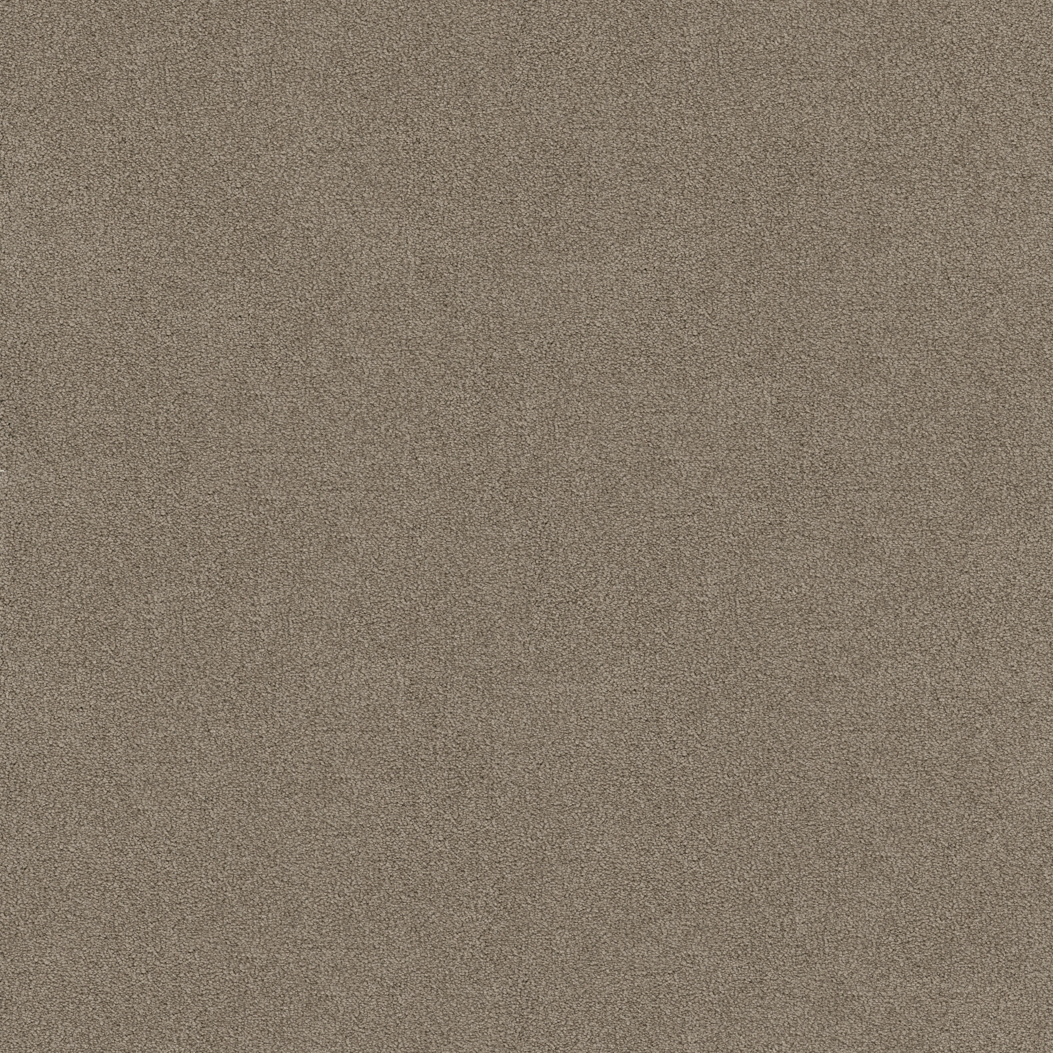 FANTASTICAL ASHEN MAIN