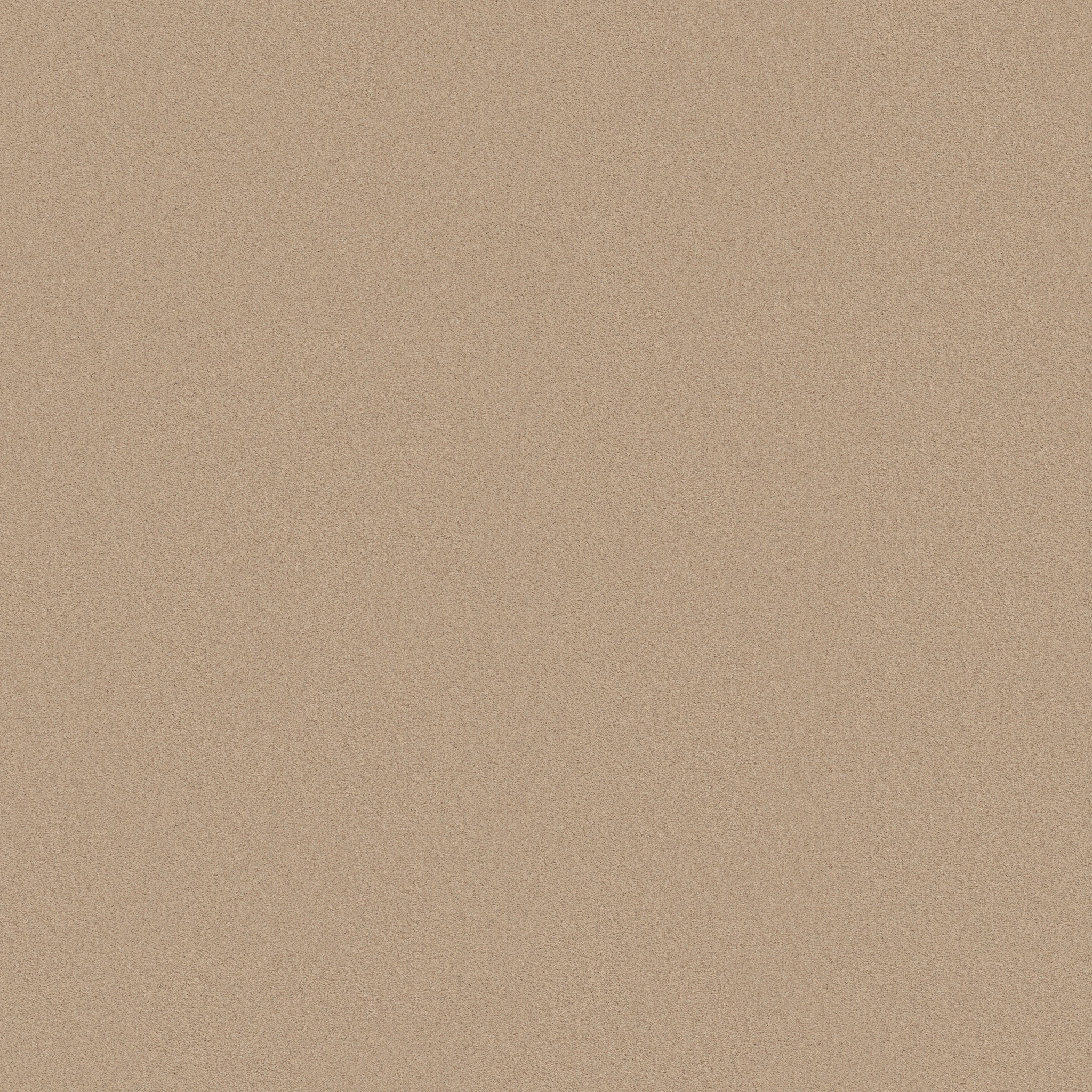 FINERY SUNKISSED MAIN