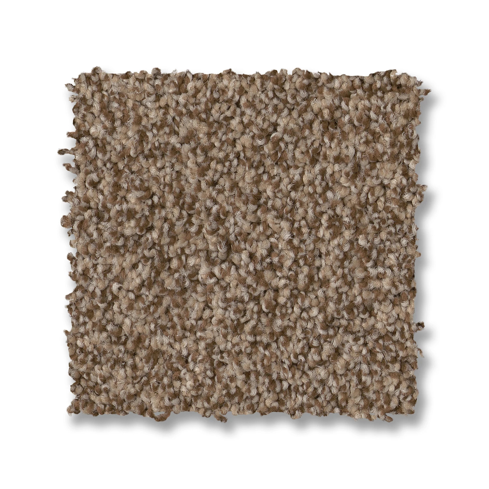 TERRA NOVA RANCH SWATCH