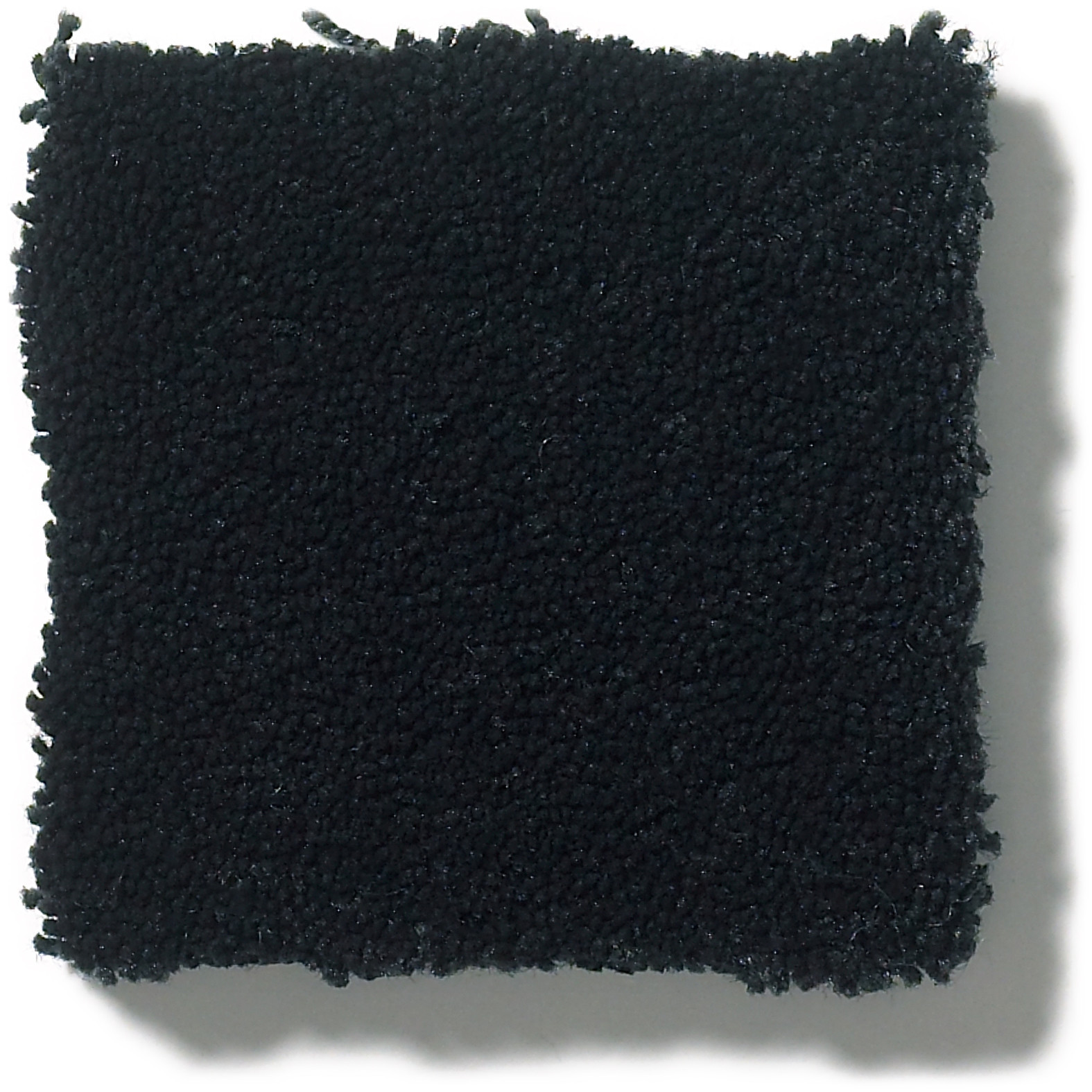 PERFECT CHOICE TUXEDO SWATCH