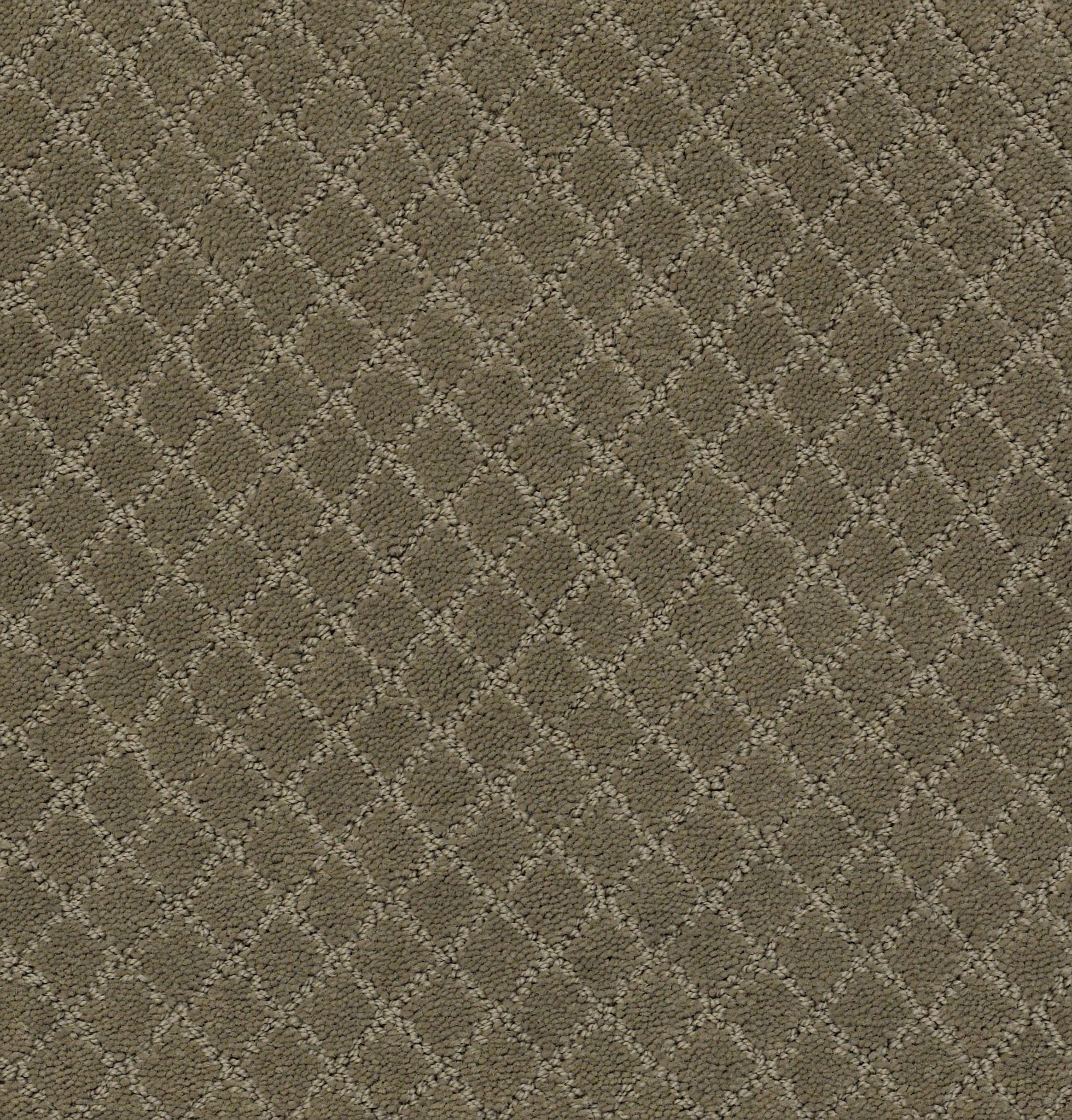 PAWNACHE DRY SAGE MAIN