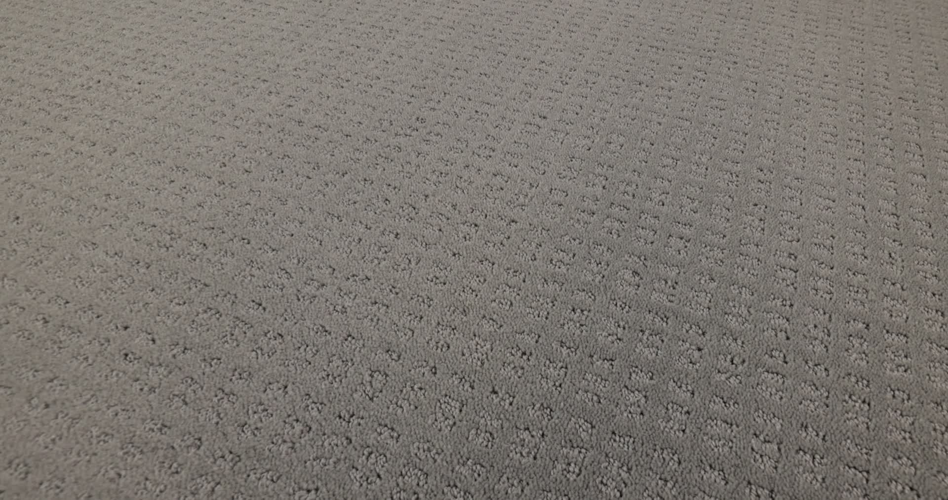 ESSENTIAL NOW GREY FOX 360PROD