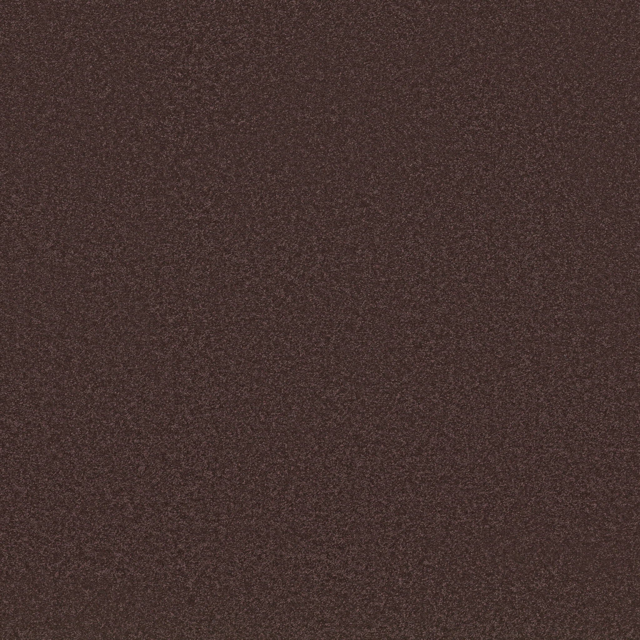 AWAKEN SPIRIT I 12' MIDSUMMER NIGHT MAIN