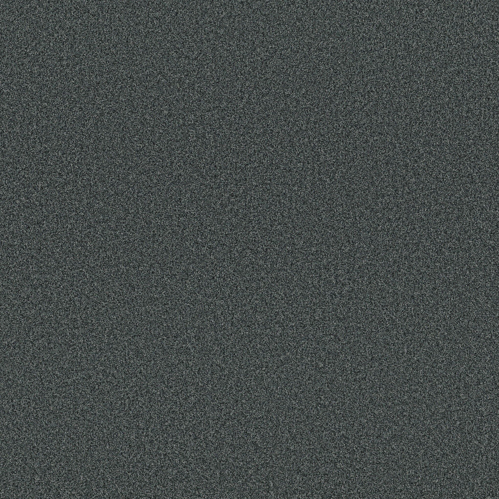 FABULOUS GRAND CANAL MAIN