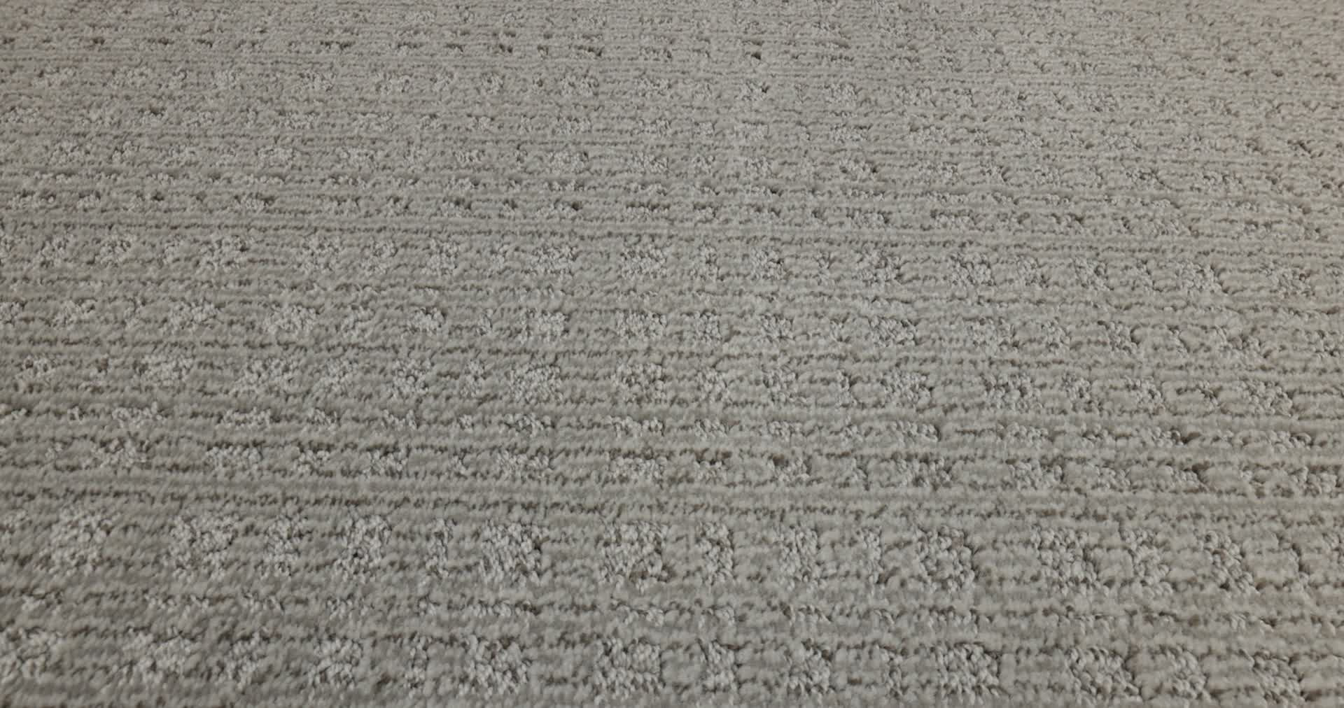 PURRSUASION BACKDROP 360PROD