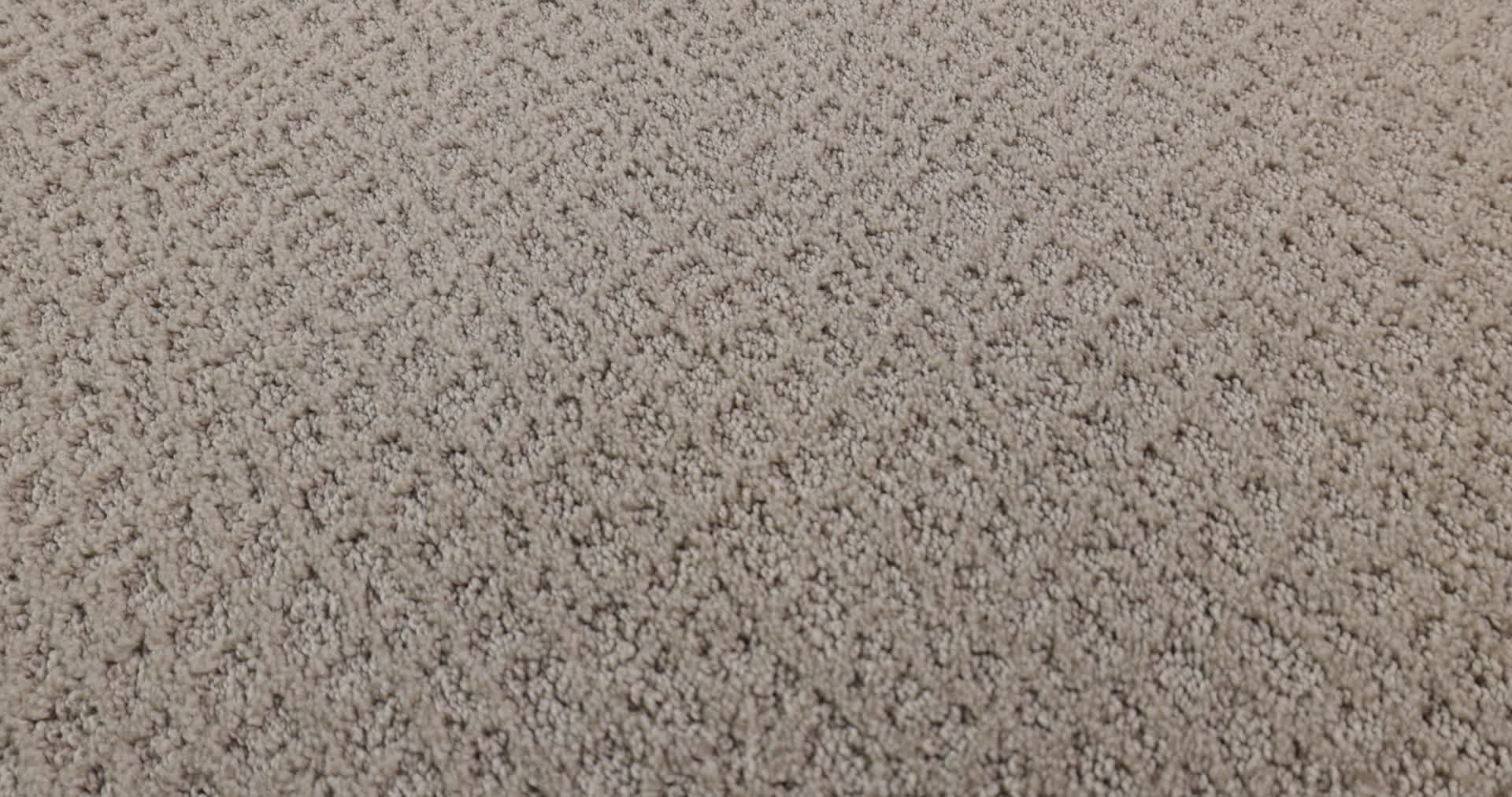 CHIC SHADES FOSSIL PATH 360PROD