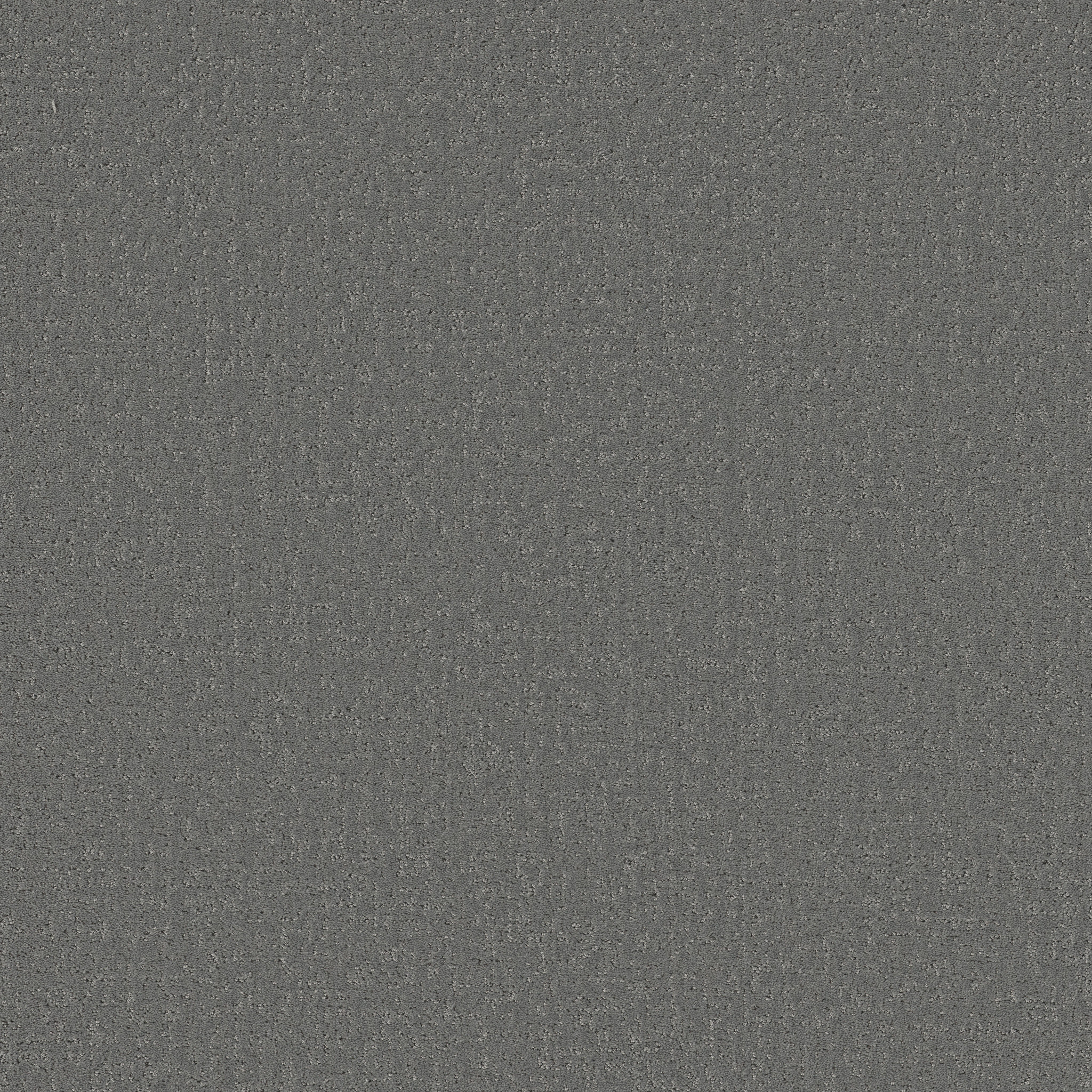 CANVAS COMFORT BLUE DOLPHIN SIGHTING MAIN