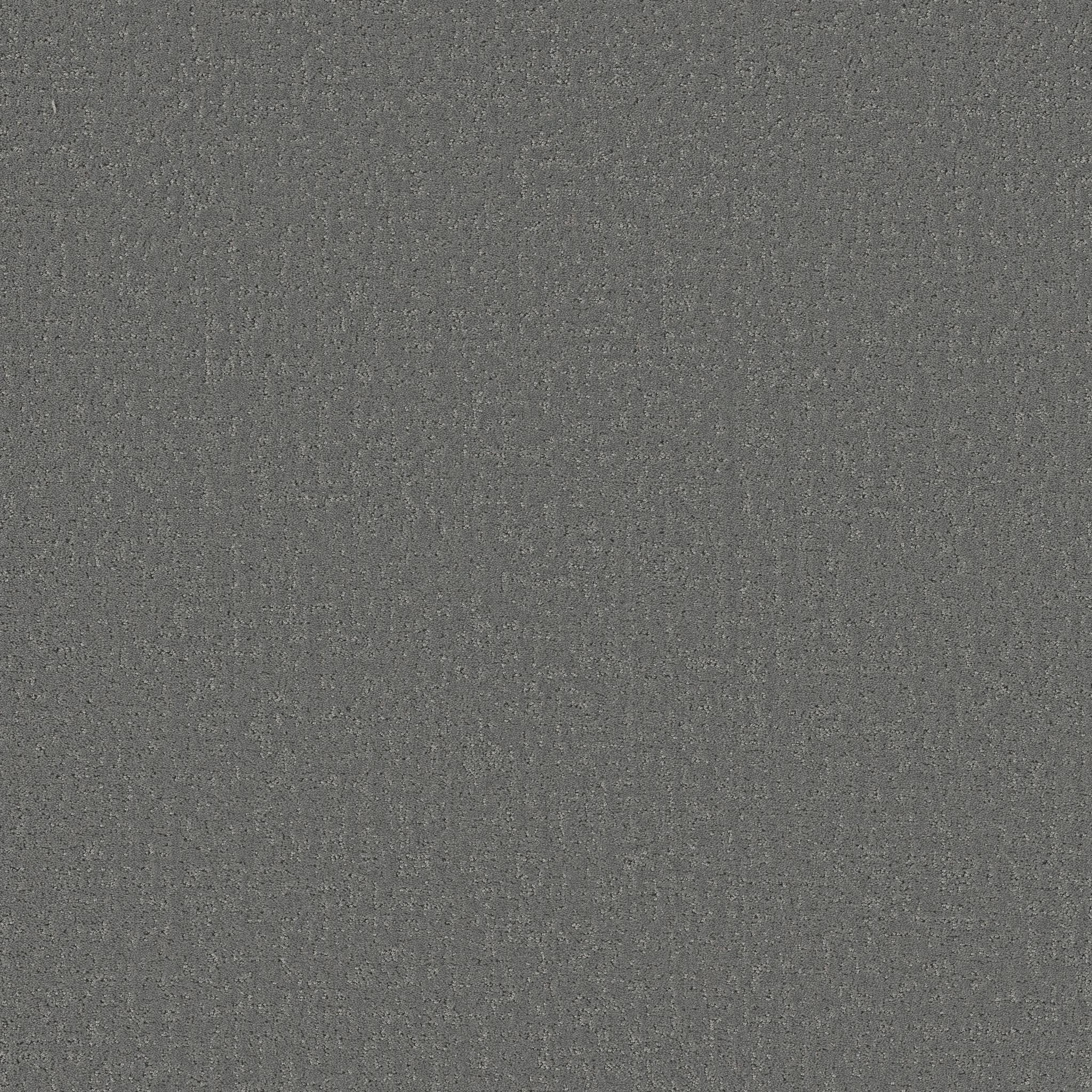 Canvas Comfort Blue in Dolphin Sighting