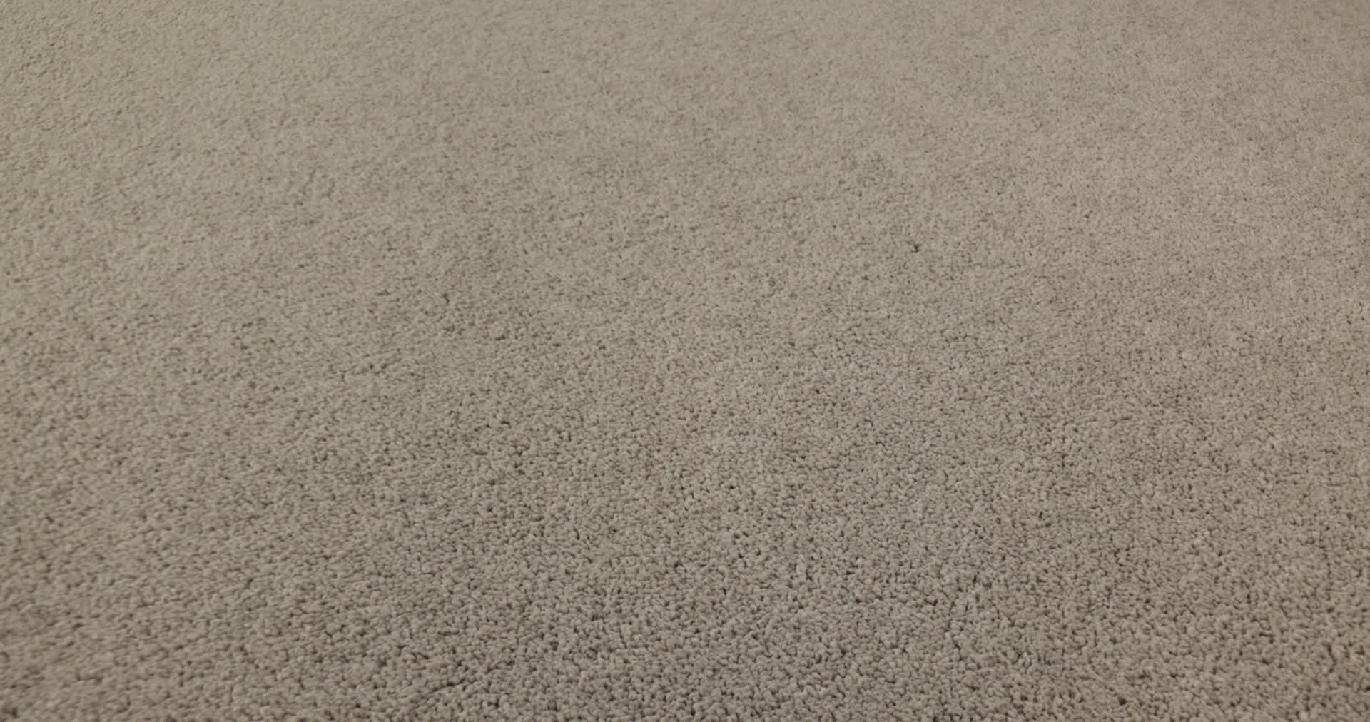 VELVET TOUCH I CHIC GREIGE 360PROD