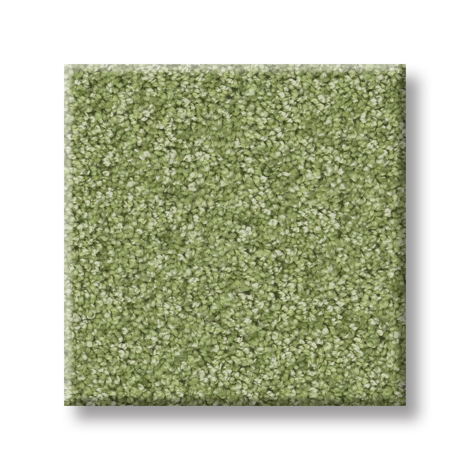 COLOR ME HAPPY FOUR LEAF CLOVER SWATCH